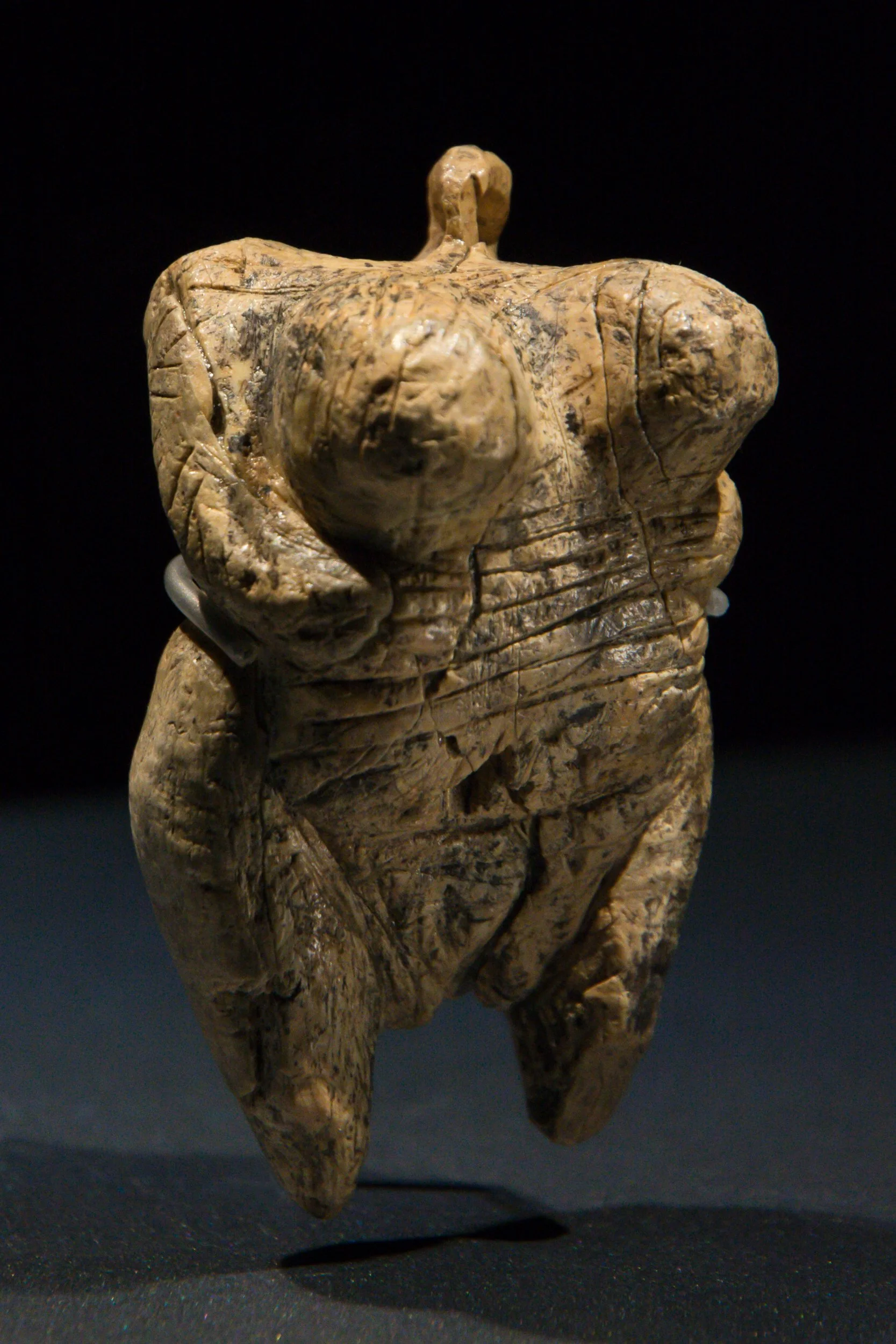 Venus from Hohle Fels.jpg