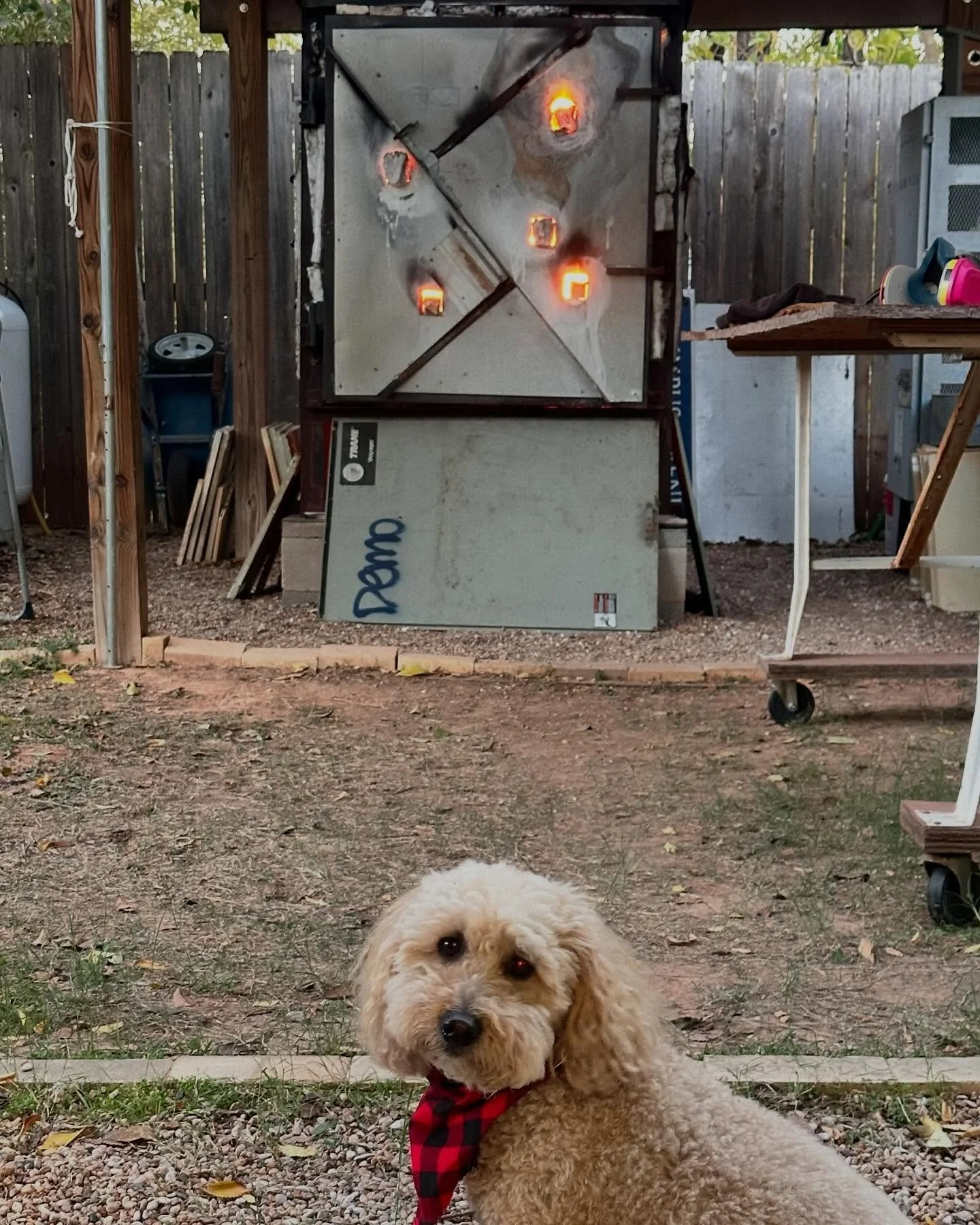 @joliefridaginsburg watching over @ryanmckerley and my firing for us. 💚