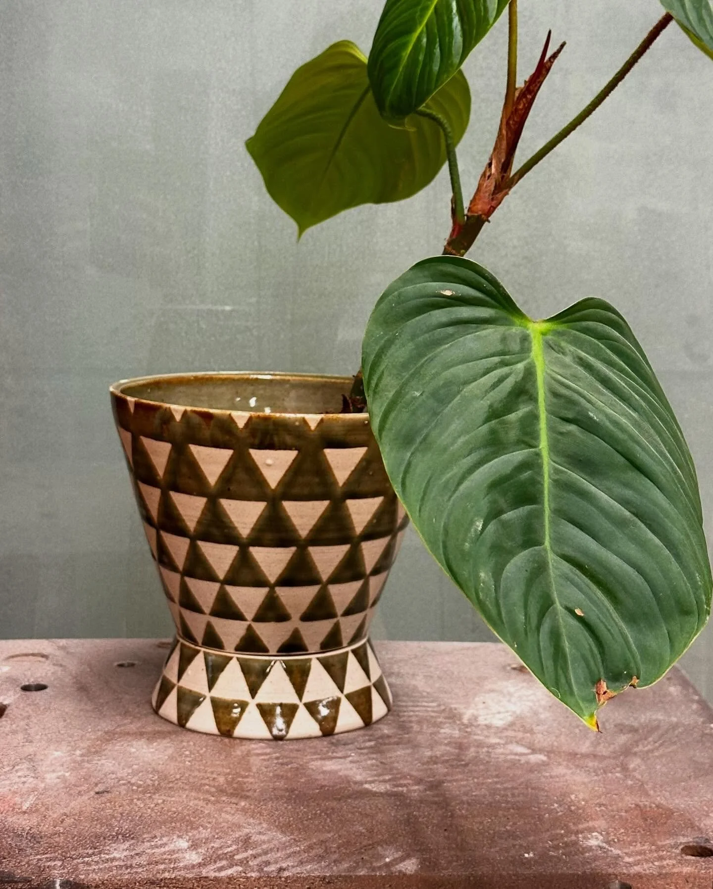 Just some planters I made recently. Most are pedestal planters with the bottom being a drainage dish that can also be turned into a self watering pot. ✨