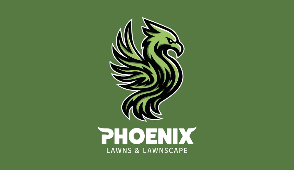 Cody Chows – Concept breakdown (nugget + dip = letters)