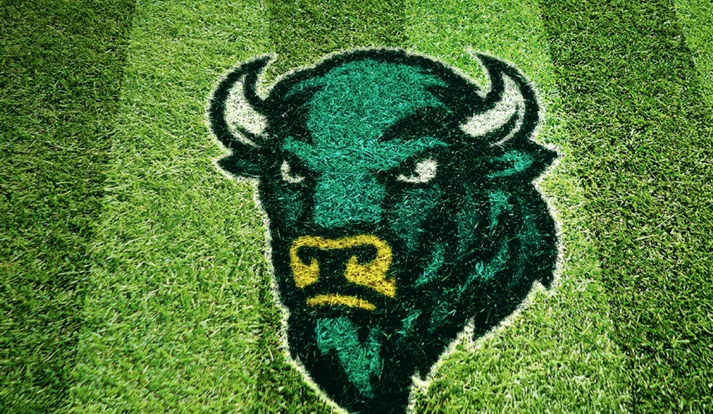 Cody Chows – New logo made in 2025