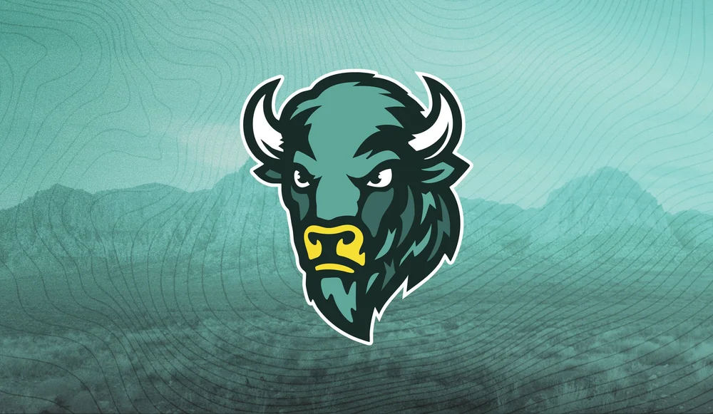 Cody Chows – Concept breakdown (nugget + dip = letters)