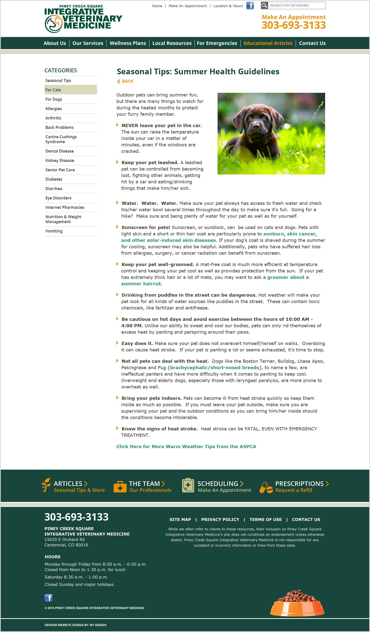 PCSIVMWeb_BlogDetail.jpg