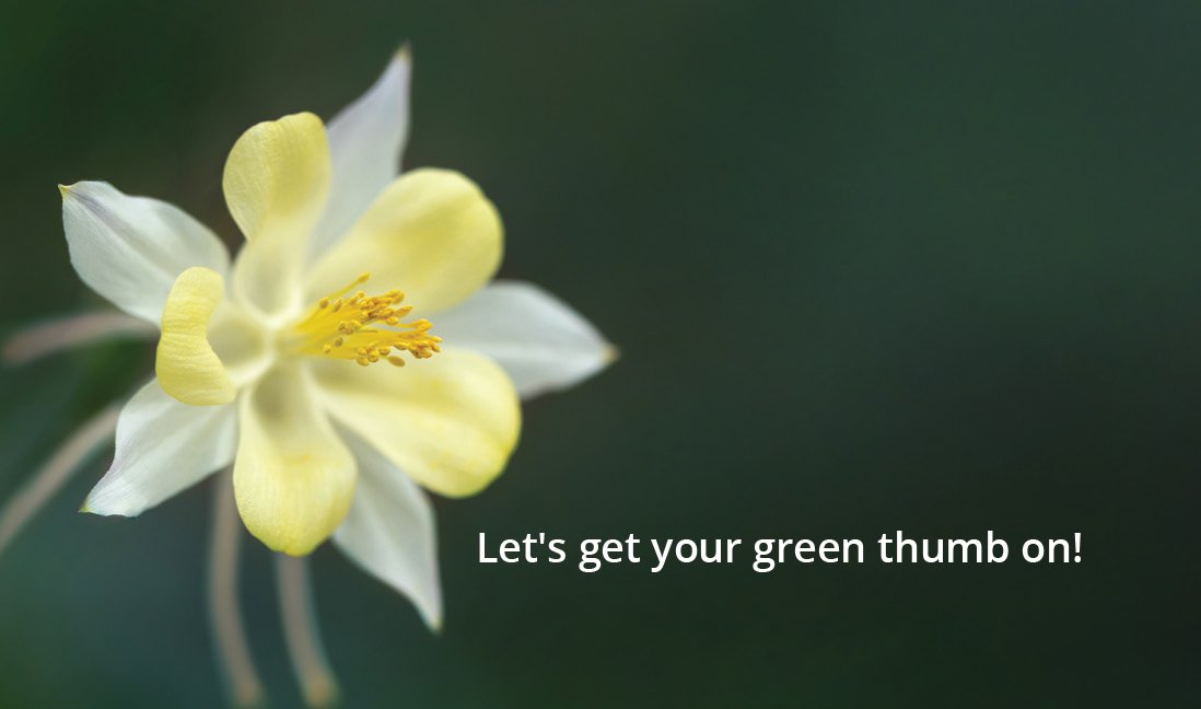 GoWestGardener_BusinessCards_Back-2.jpg