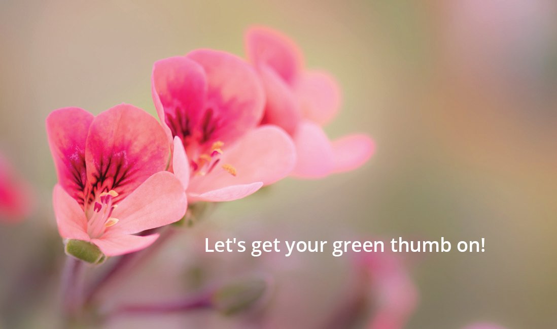 GoWestGardener_BusinessCards_Back-4.jpg