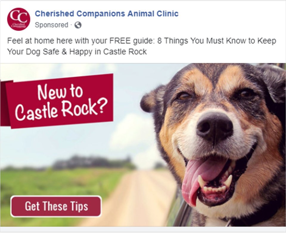 CCAC_FacebookLeadMagnetAds2.jpg