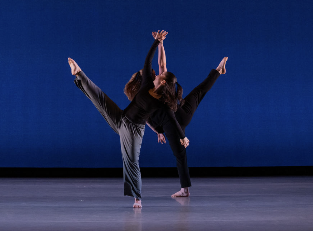 Montclair Dance Festival