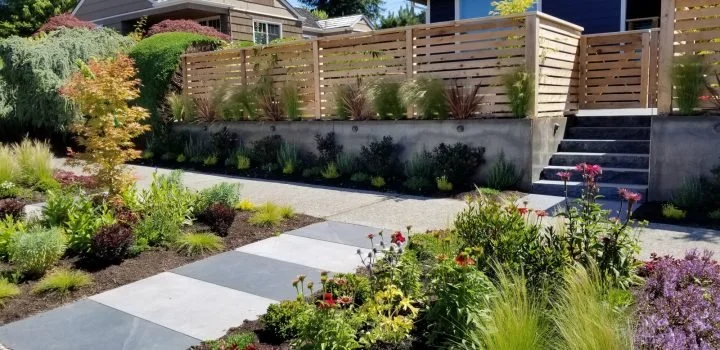 Best Native Plants for Low-Maintenance Landscaping in the PNW