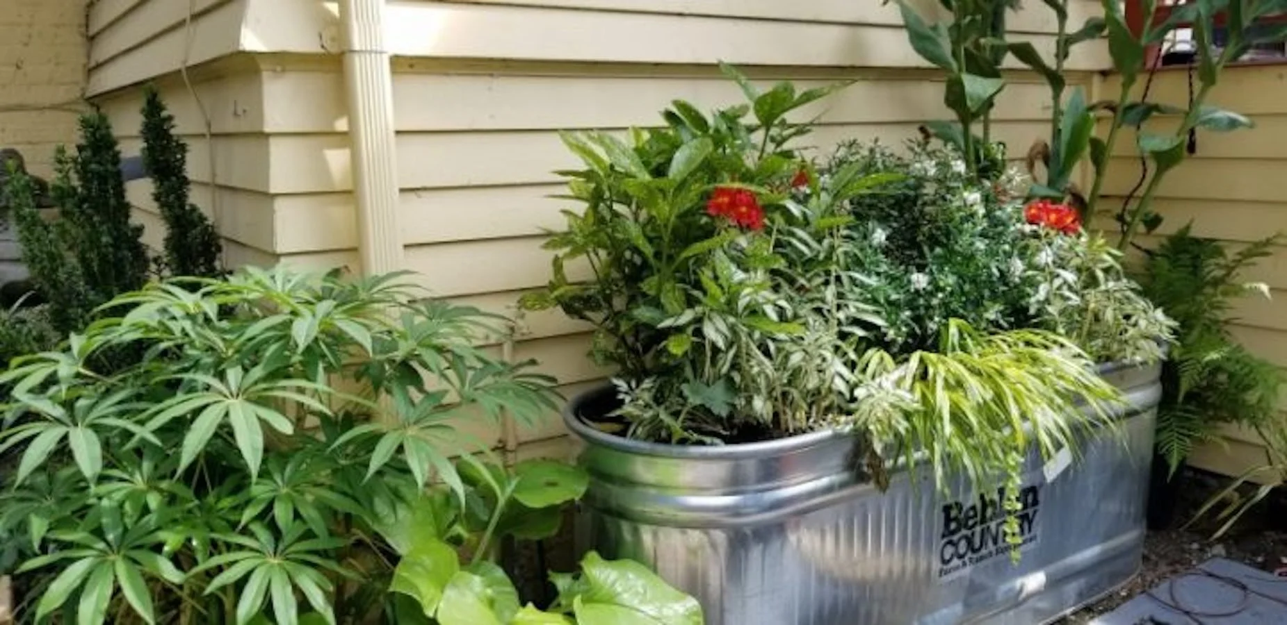 West Seattle Landscape and Design Ideas to Elevate Your Outdoor Living