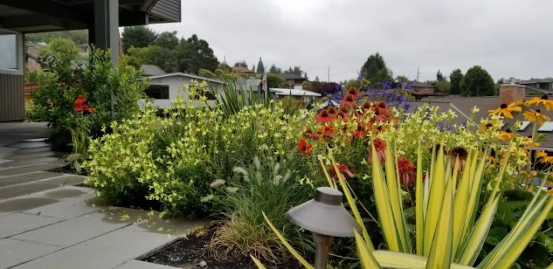 How to Choose the Right Irrigation System for Your Yard