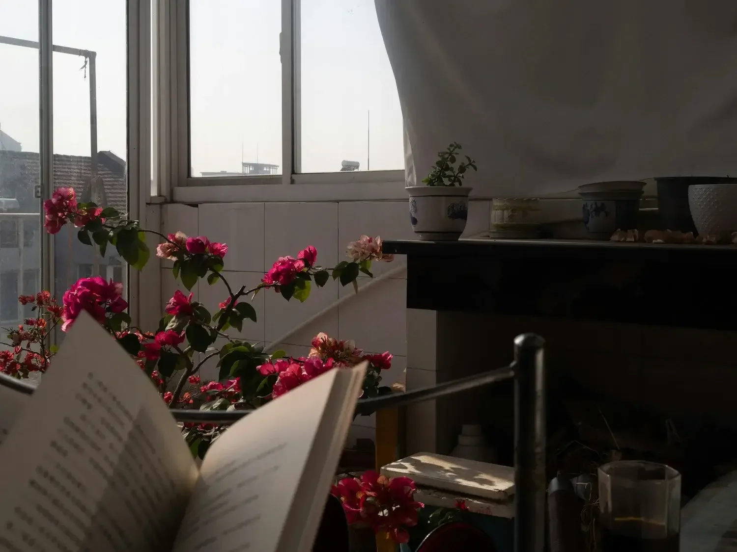 A peaceful morning setup with book, and a plant representing mindful routines and mental health therapy strategies