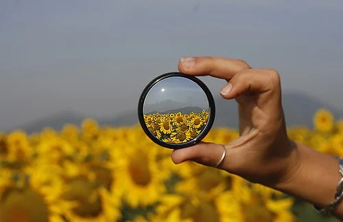 How to Find the Right Therapist for C-PTSD