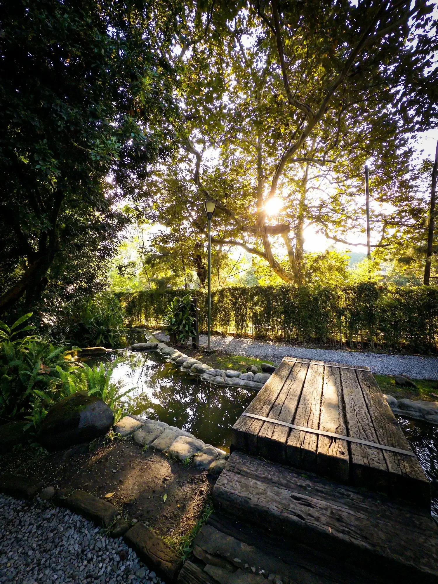 A peaceful nature scene with sunlight filtering through trees and a garden path representing grounding, relaxation, and anxiety therapy techniques.
