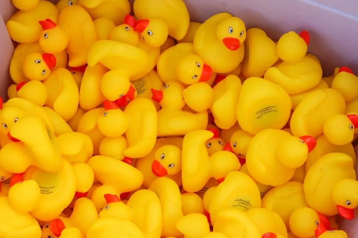 Duck Pluck