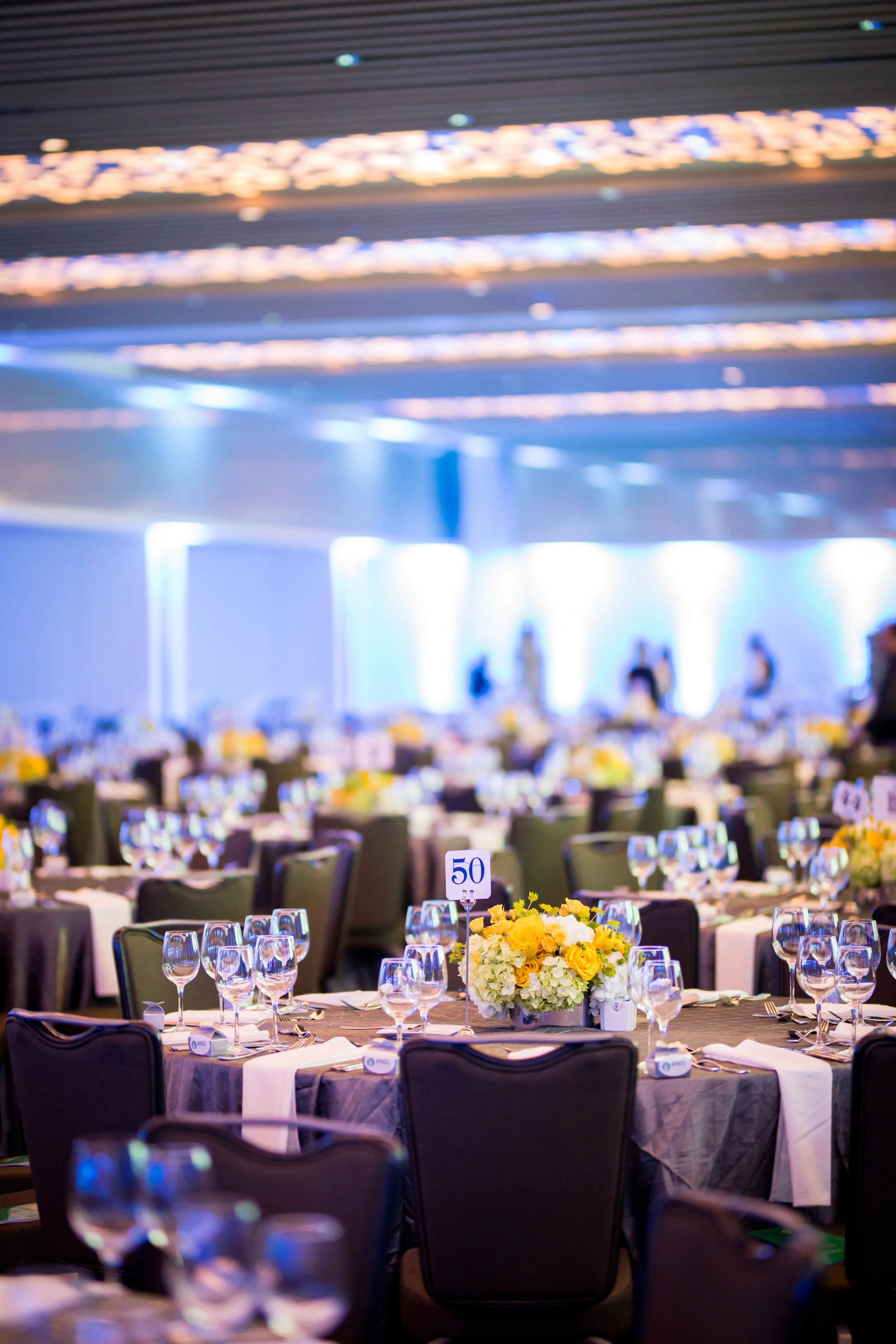 2024 APAICS Annual Awards Gala