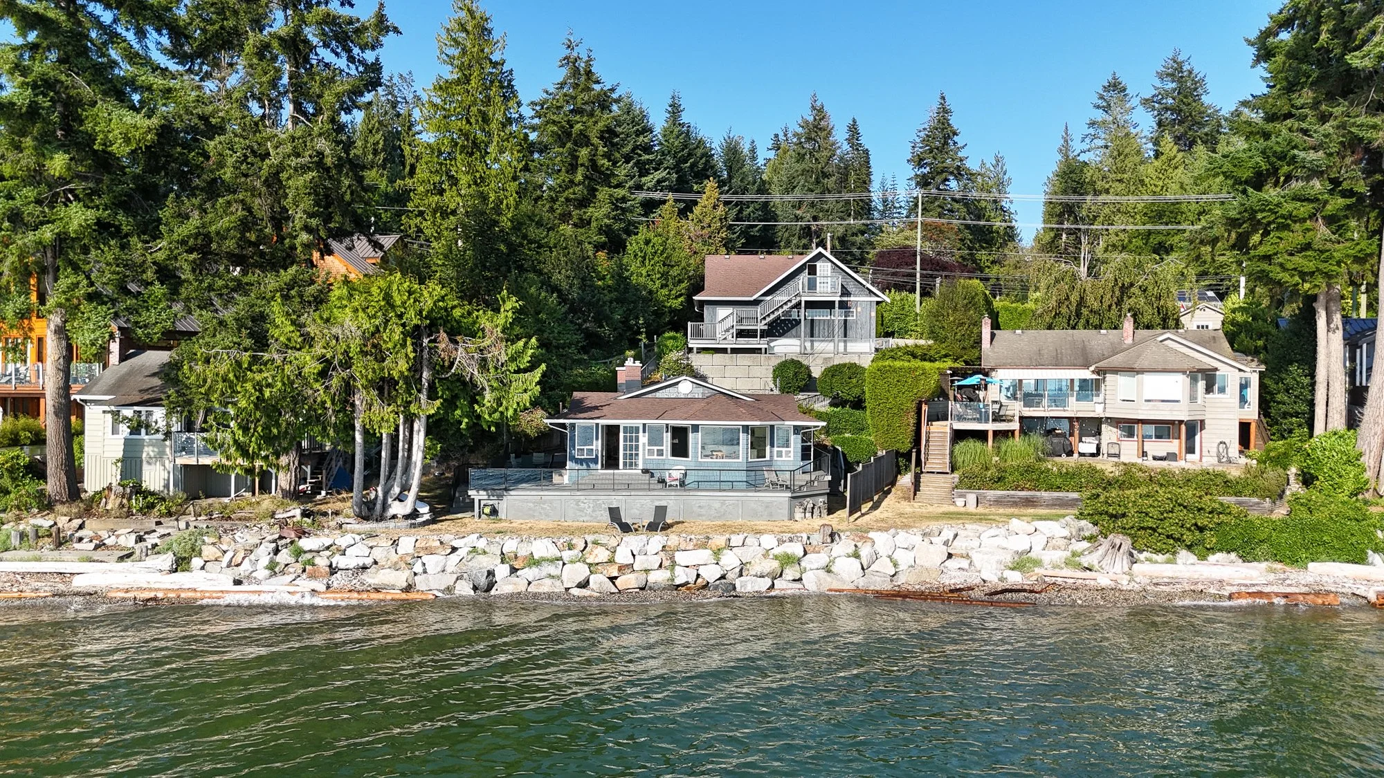 Coastal forest with tall trees overlooking a calm sea under a clear sky.