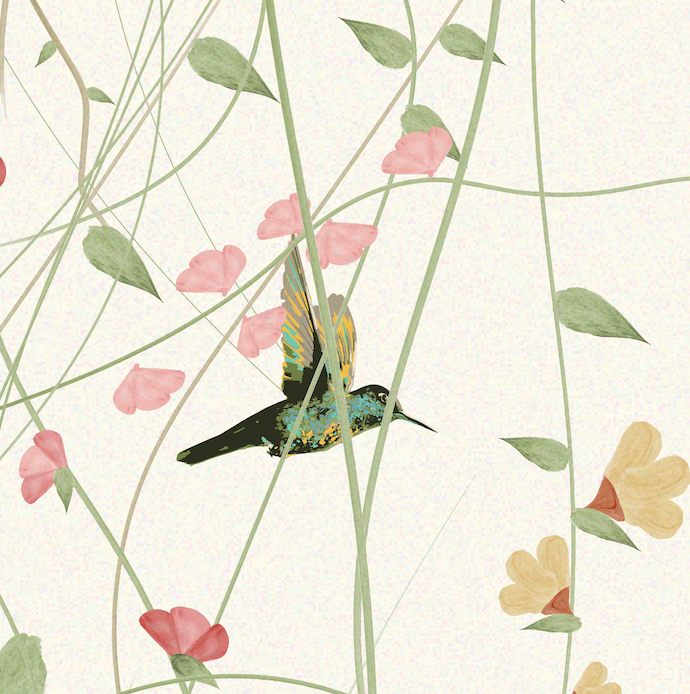 A colorful hummingbird flying among pink and yellow flowers on green vines.