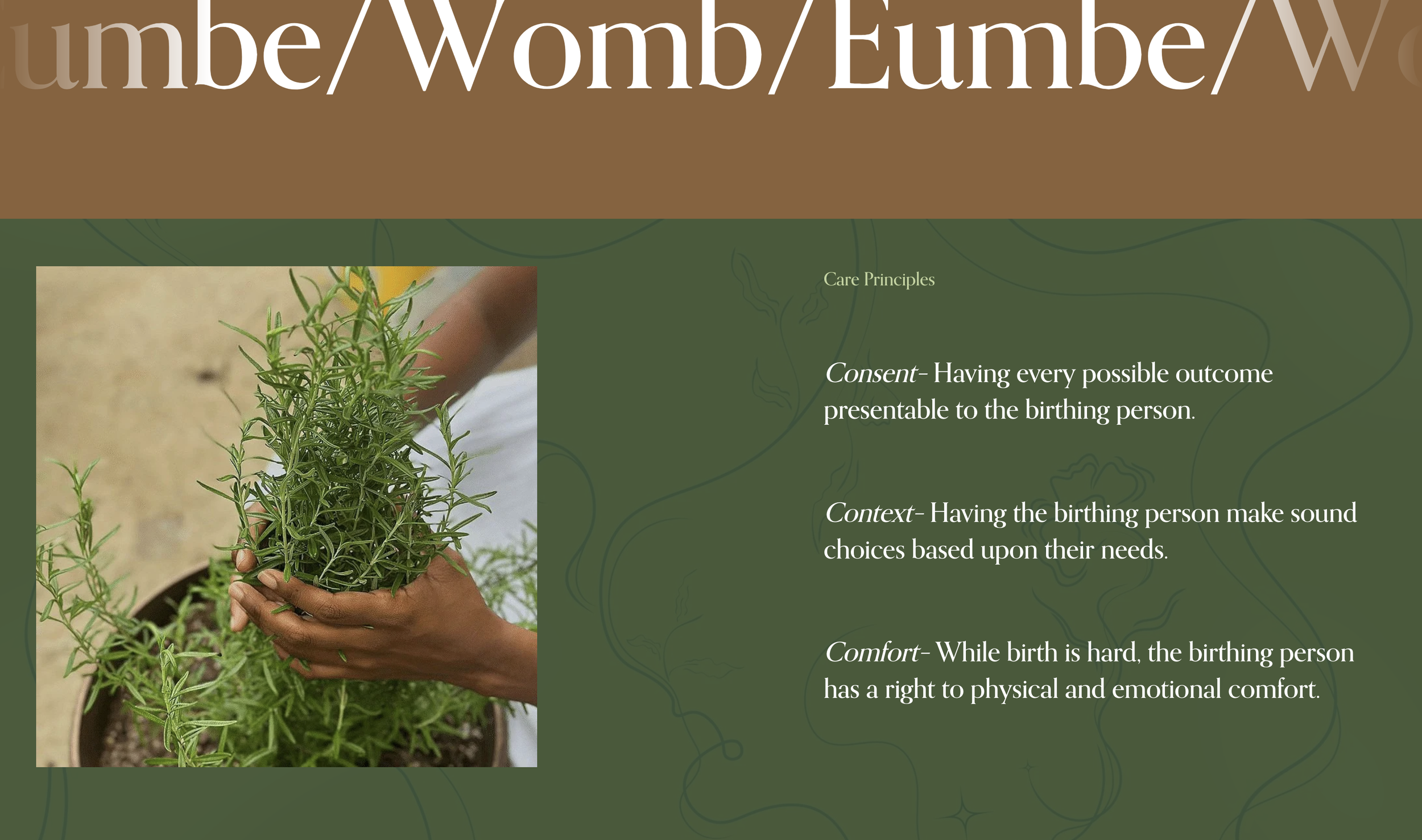 A close-up of a potted rosemary plant with green, needle-like leaves, being held by a person's hand against a blurred background.