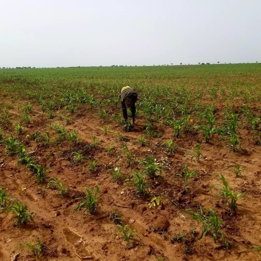 2024 Planting Season 🌾