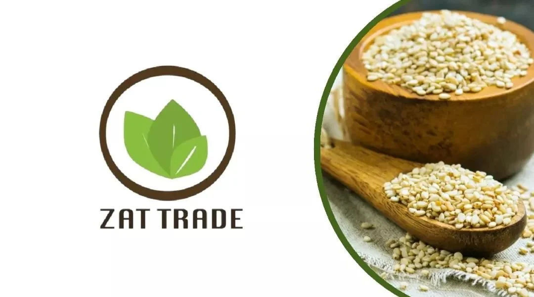 Our Company Profile.