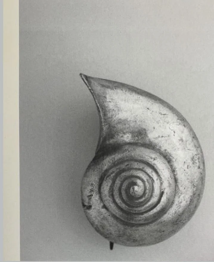 Black-and-white photograph of a spiral ammonite fossil shell with a pointed outer curve