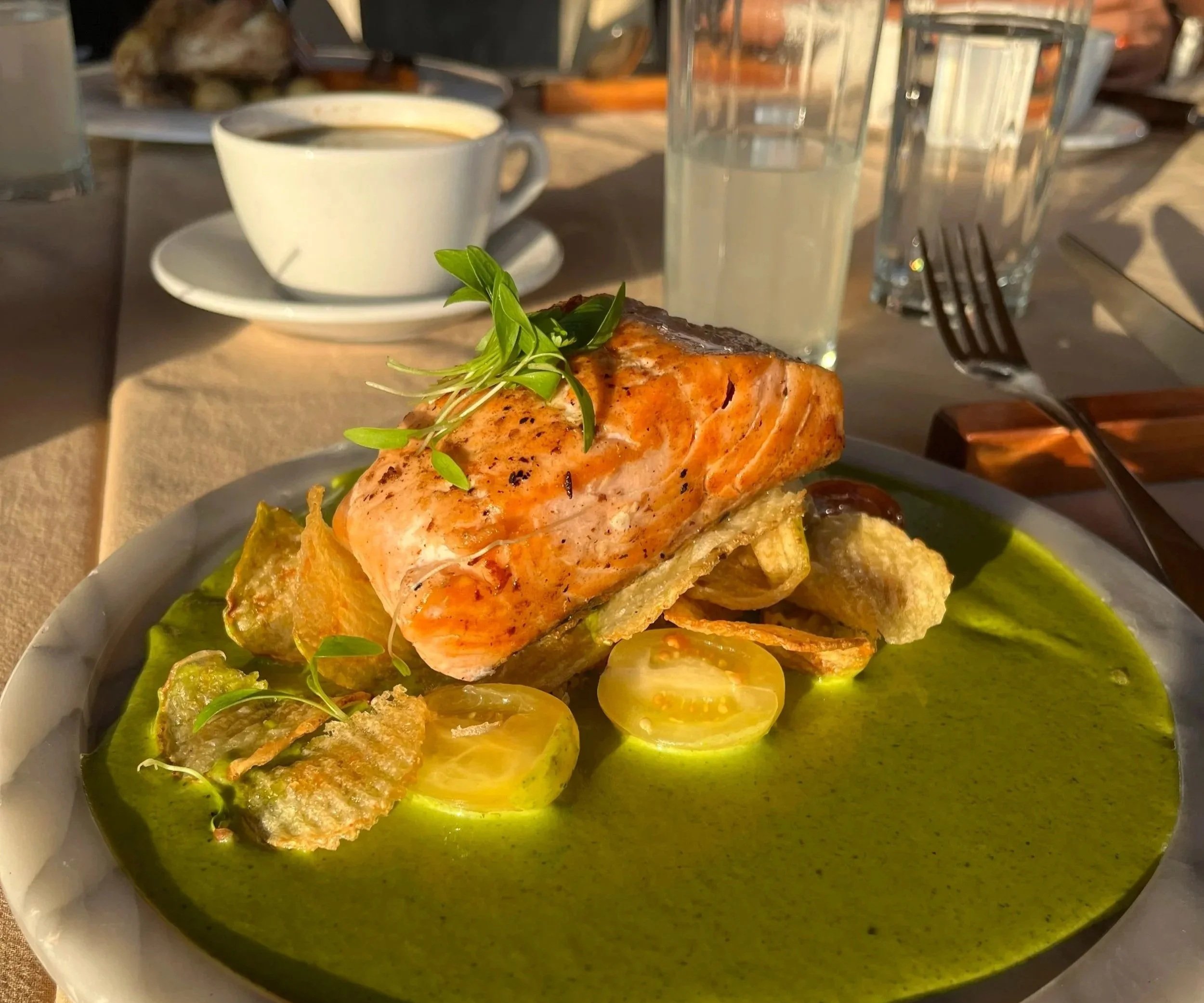 Plato con salmón cocido acompañado de base de salsa verde, papas fritas, tomates cherry y microverdes, en un entorno de restaurante con una taza de café y agua.
