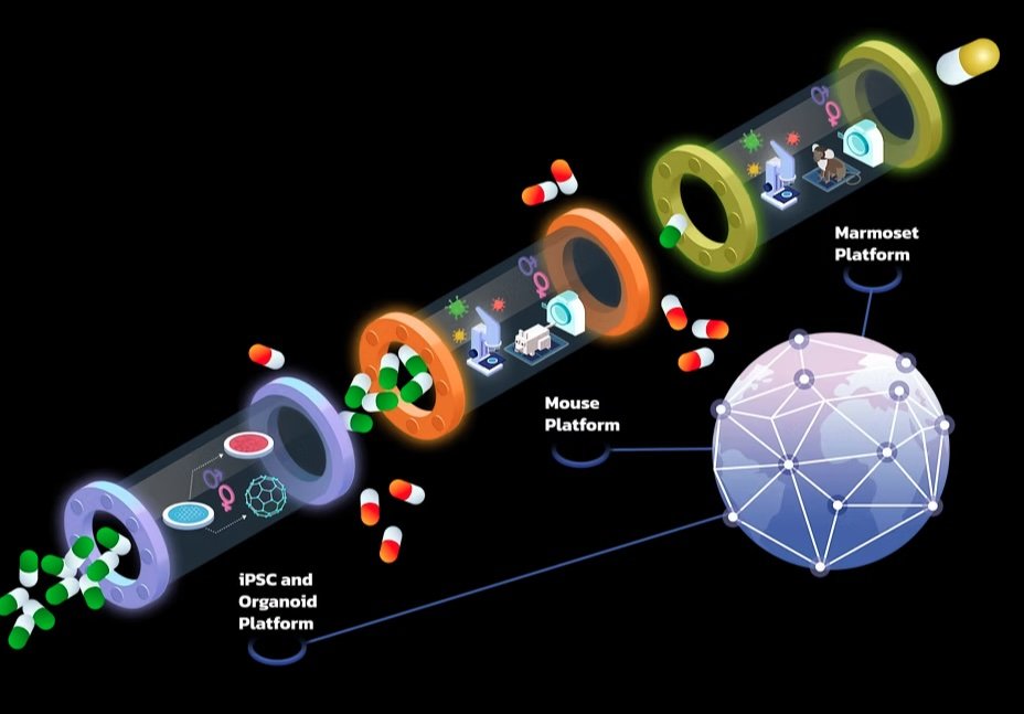 TRIDENT Open Science, Practices, and Partnerships Core Interview