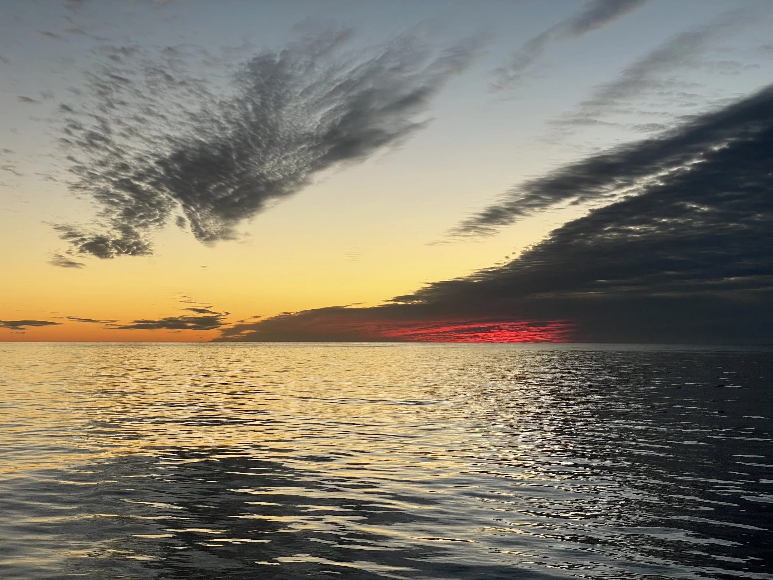 20241104-fiery sky.jpg