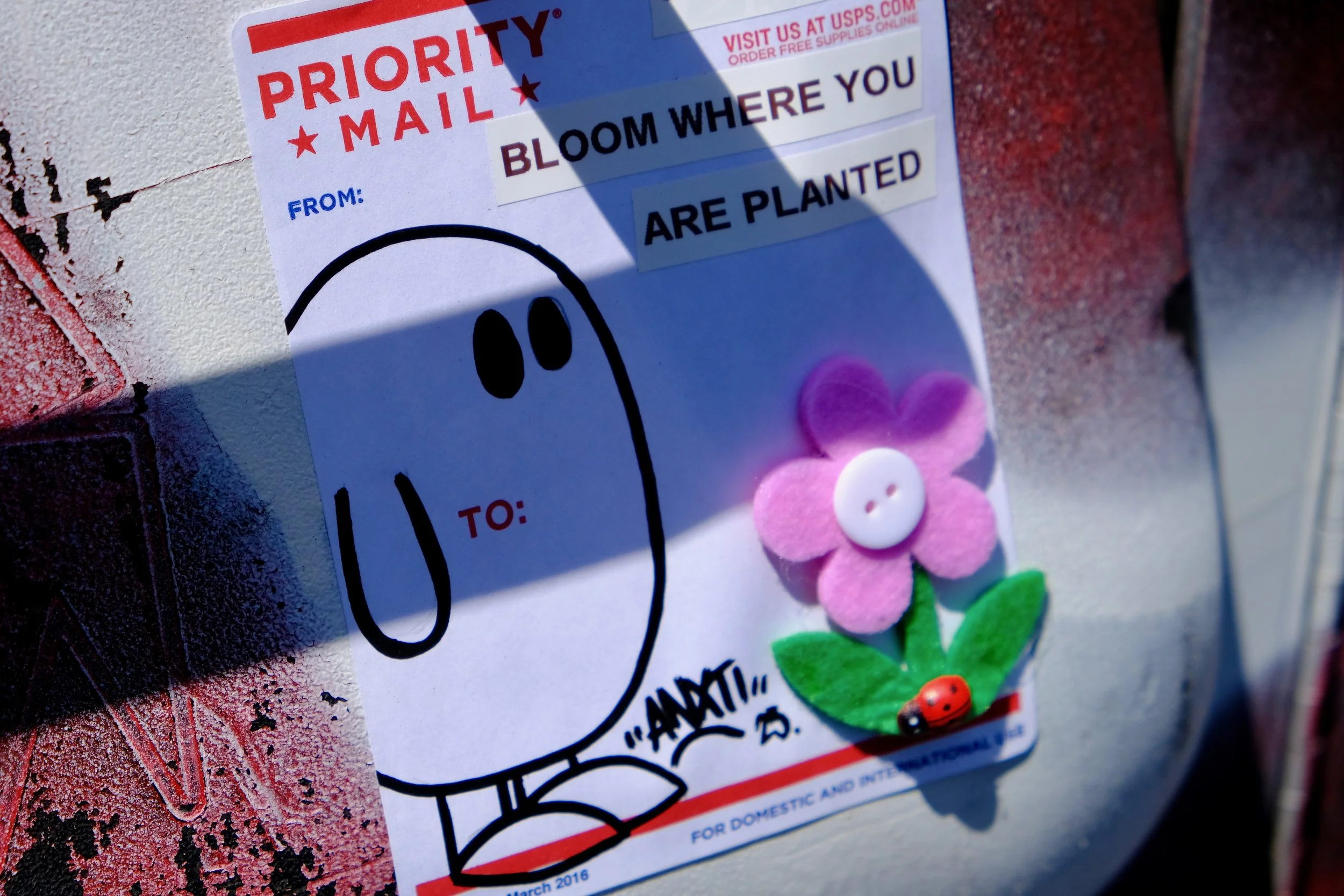 McHoneHilary_BloomWhereYouArePlanted_NYC_08032025.jpeg