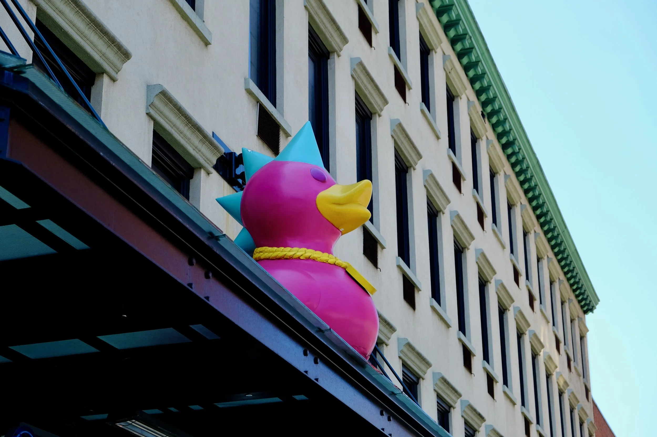 McHoneHilary_RubberDuckie_NYC_08032025.jpeg