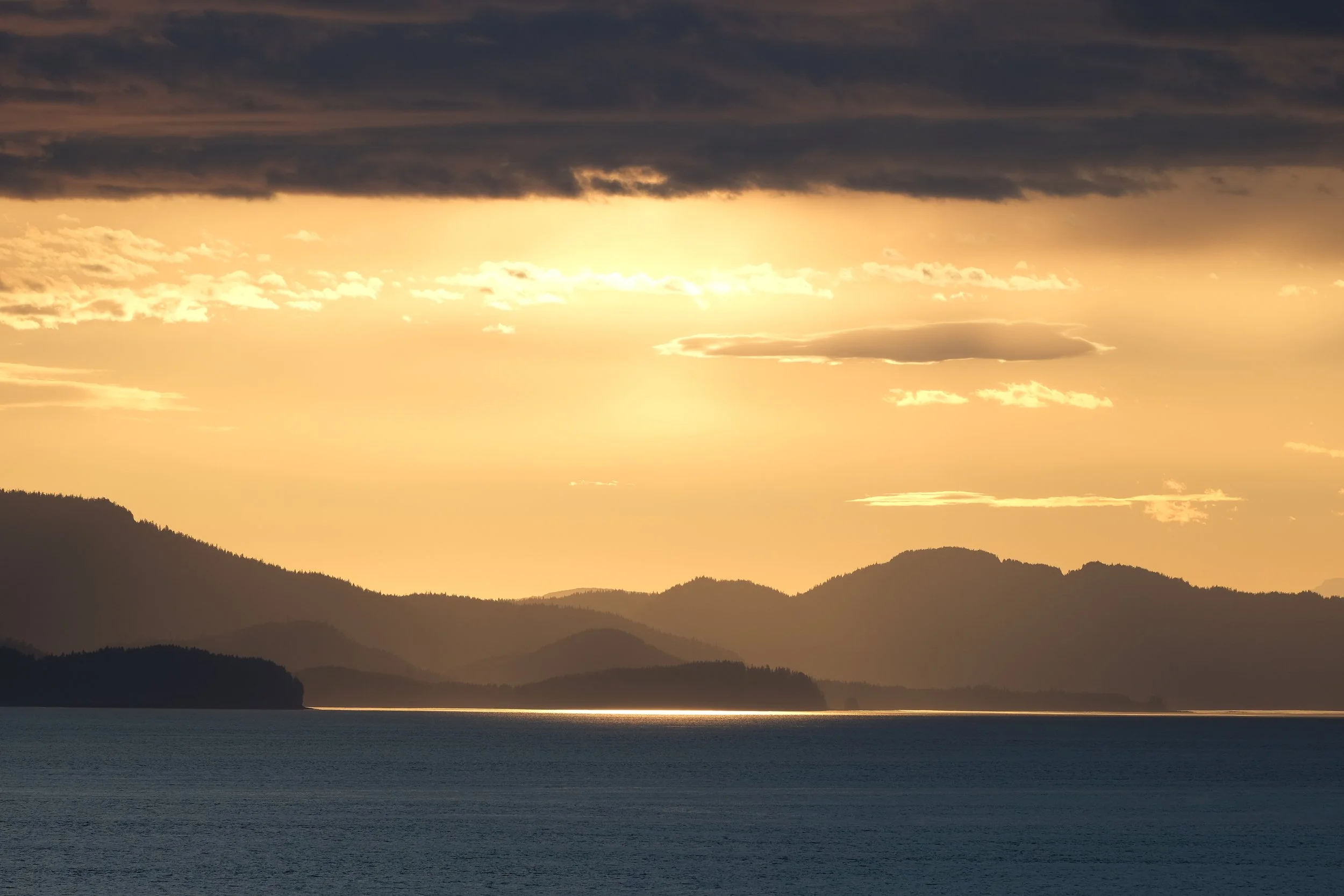 DSCF8850.jpg