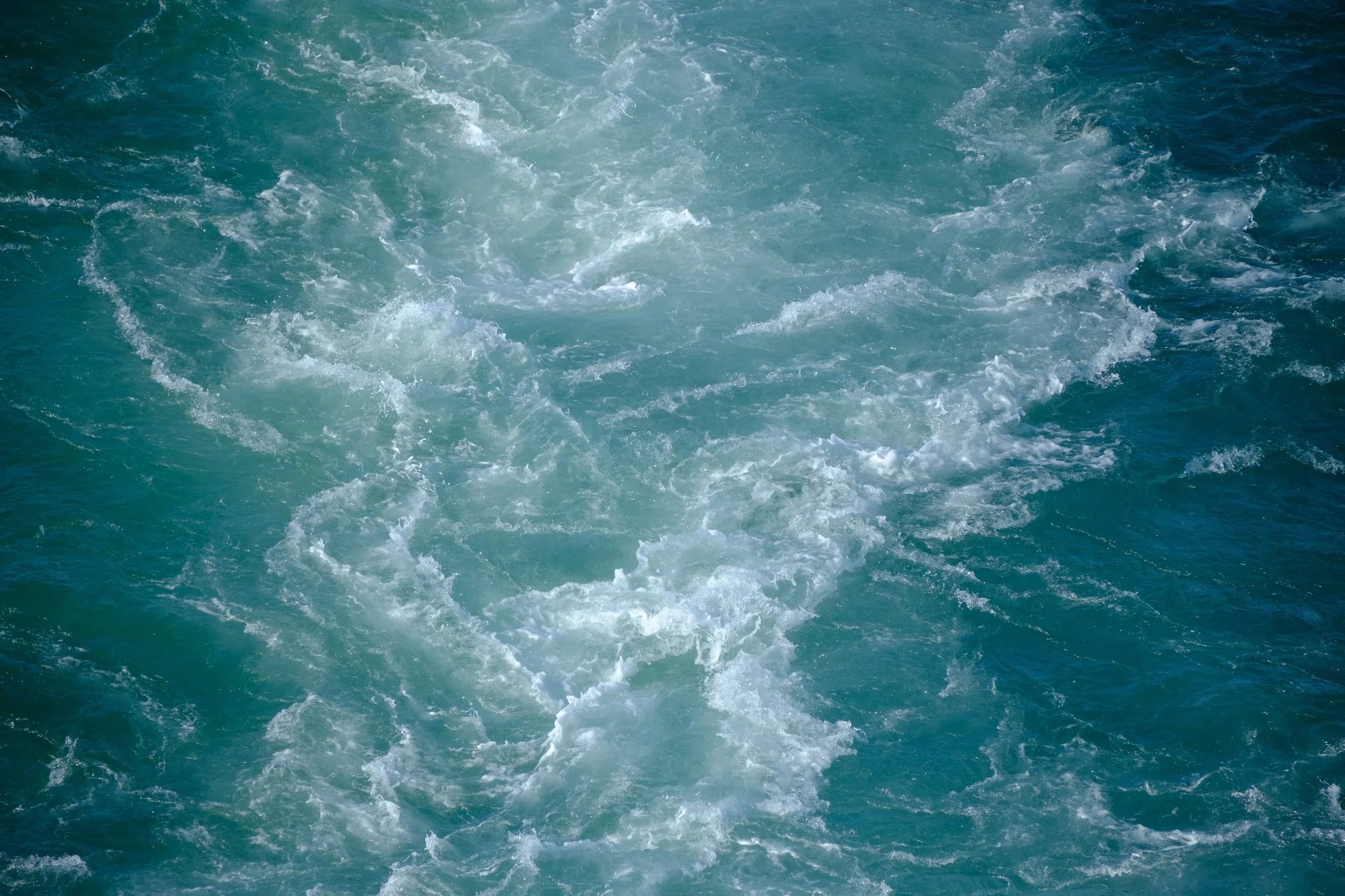 DSCF7572.jpg