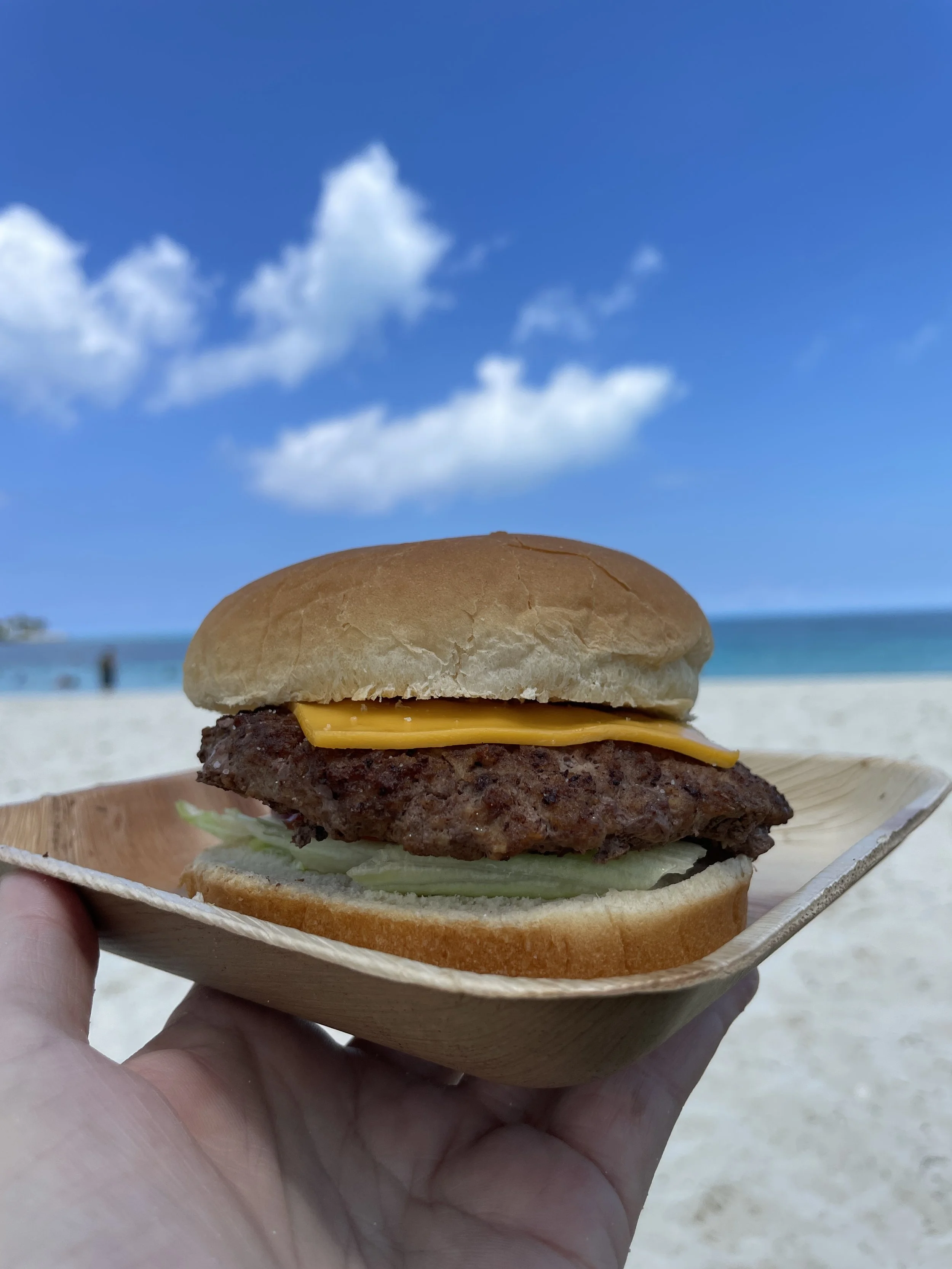 20240626-Bahamas-Cheeseburger.jpg