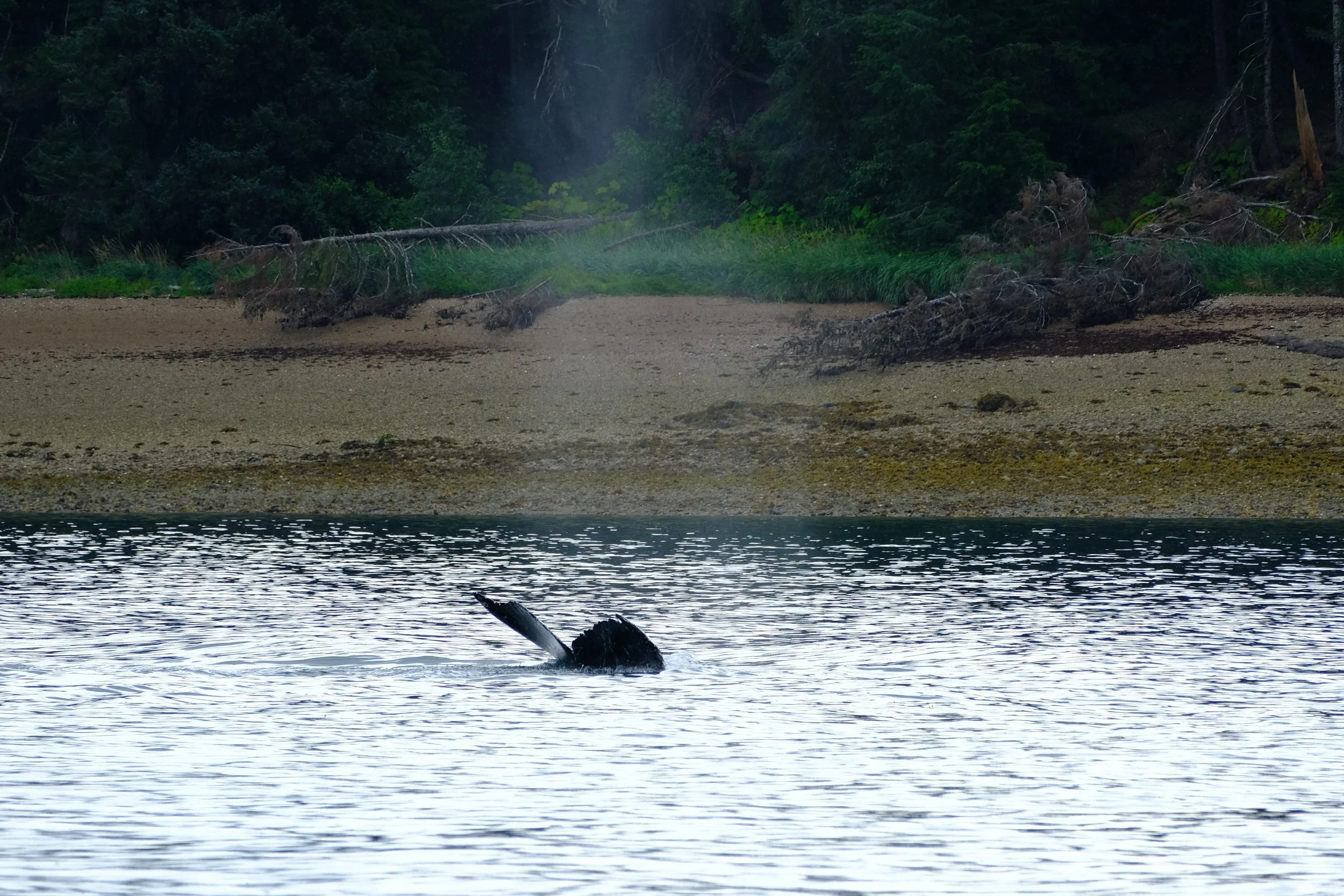 DSCF8292.jpg