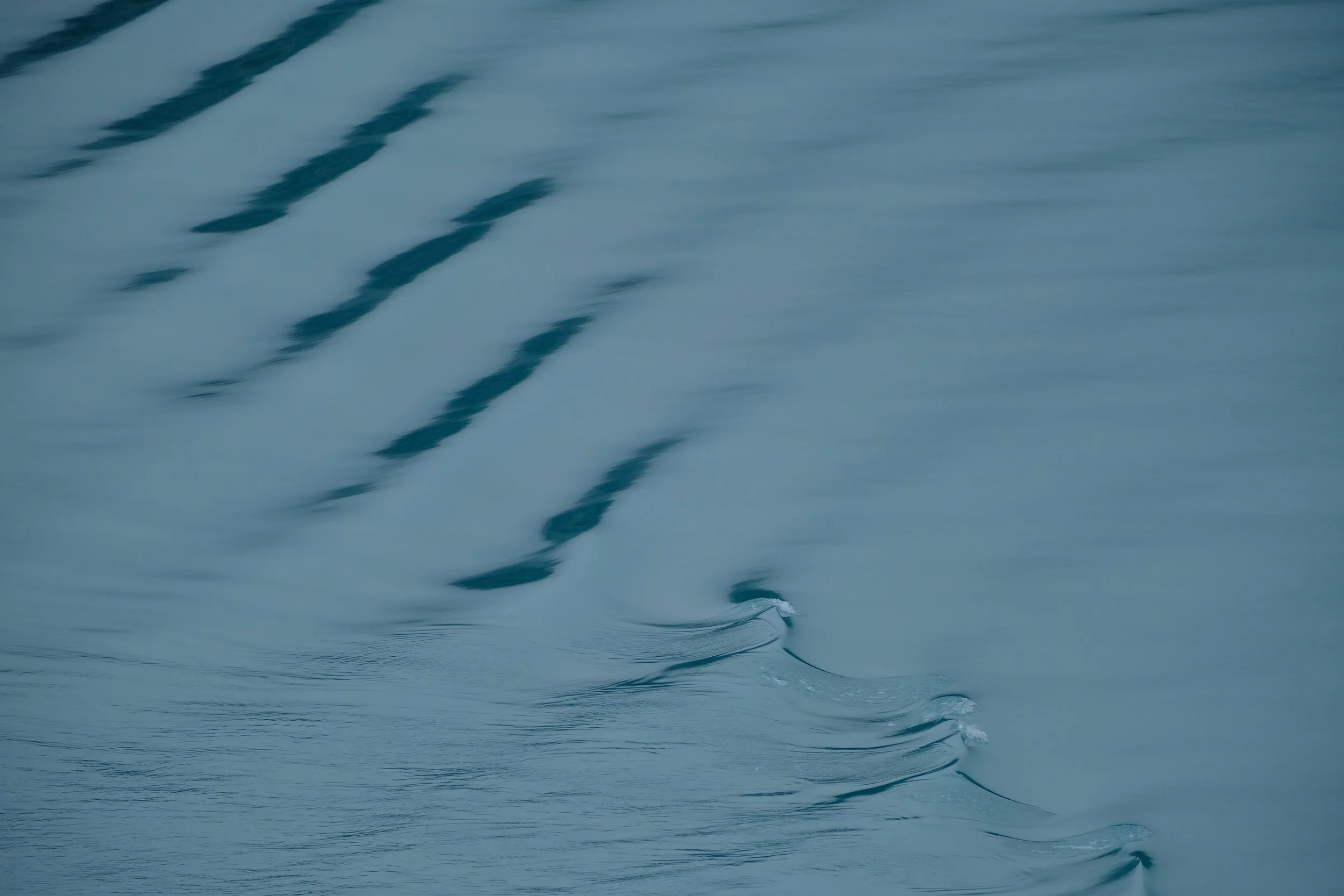 DSCF7741.jpg