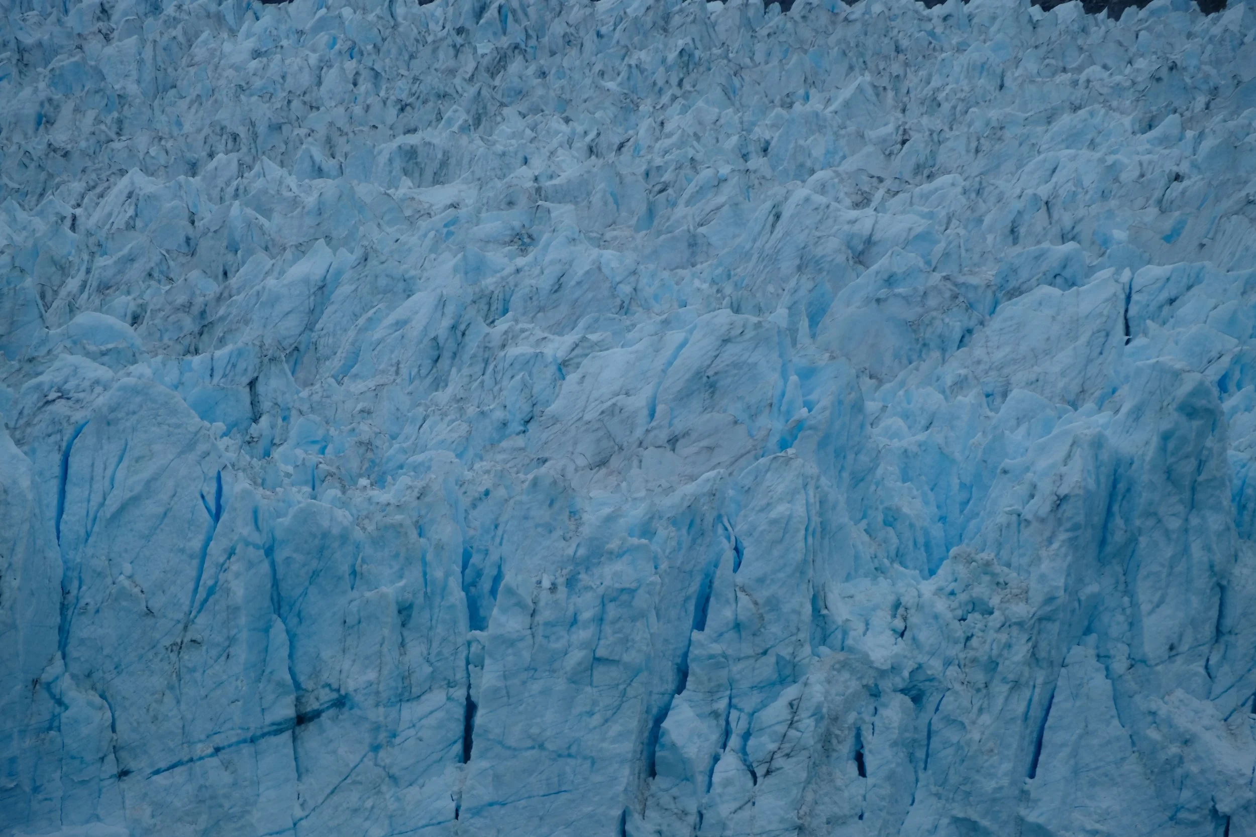 DSCF7634.jpg