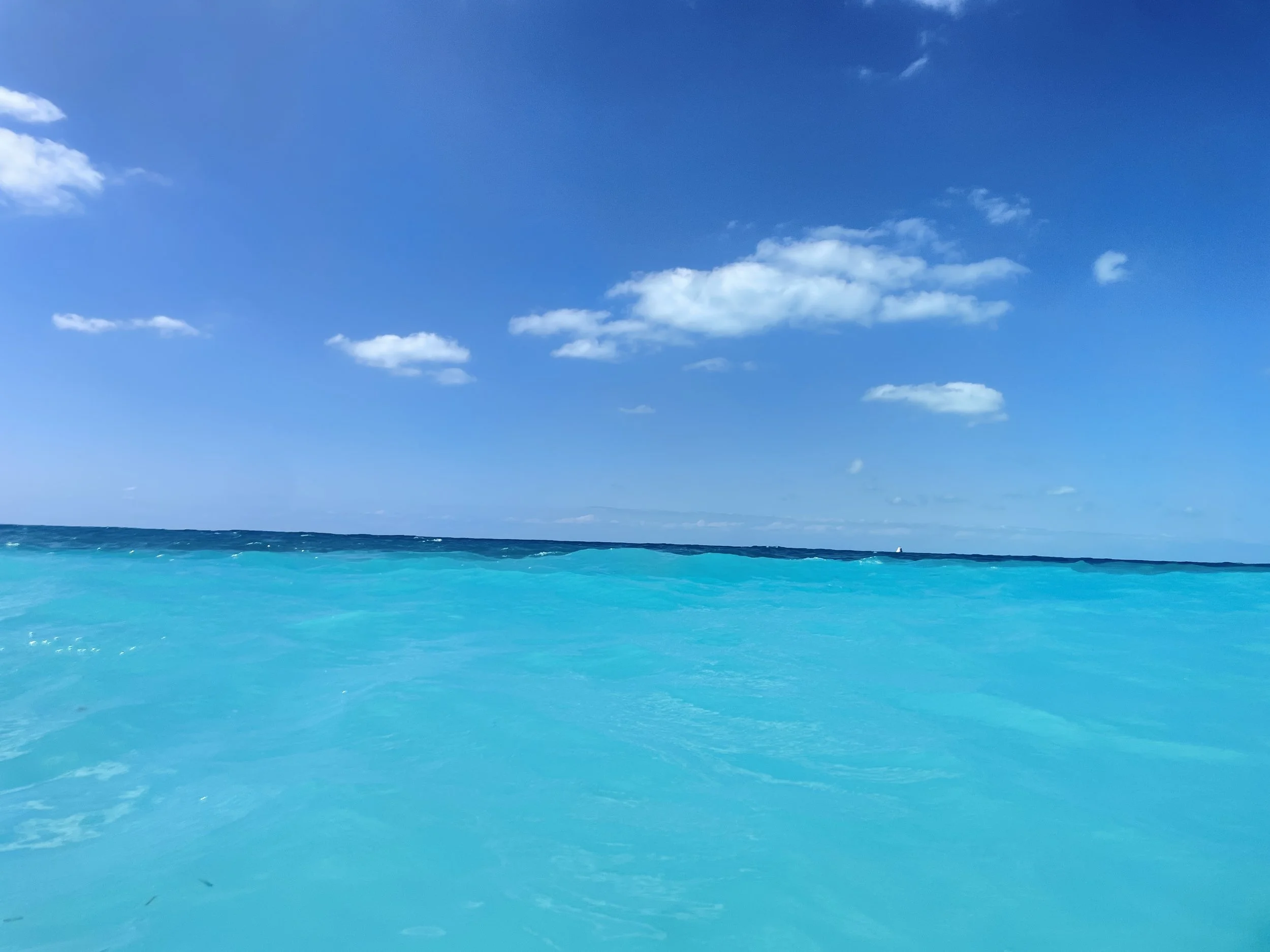 2025-MSC-Meraviglia-Day 04-02.JPG