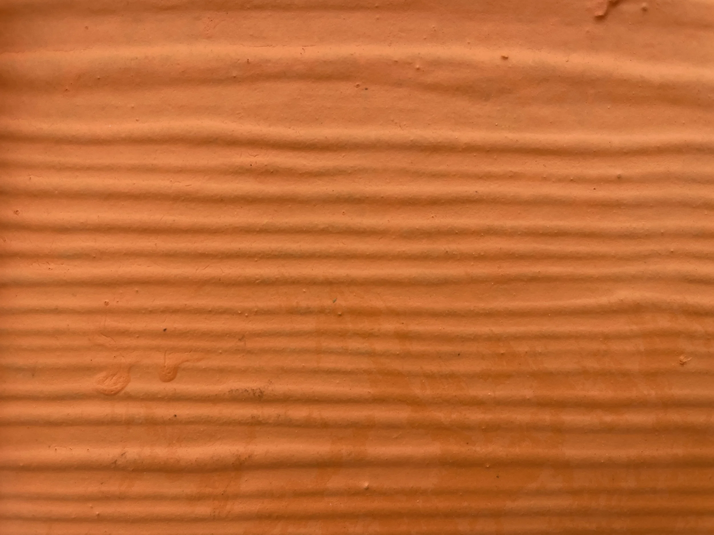 20240626-Bahamas-Orange.jpg