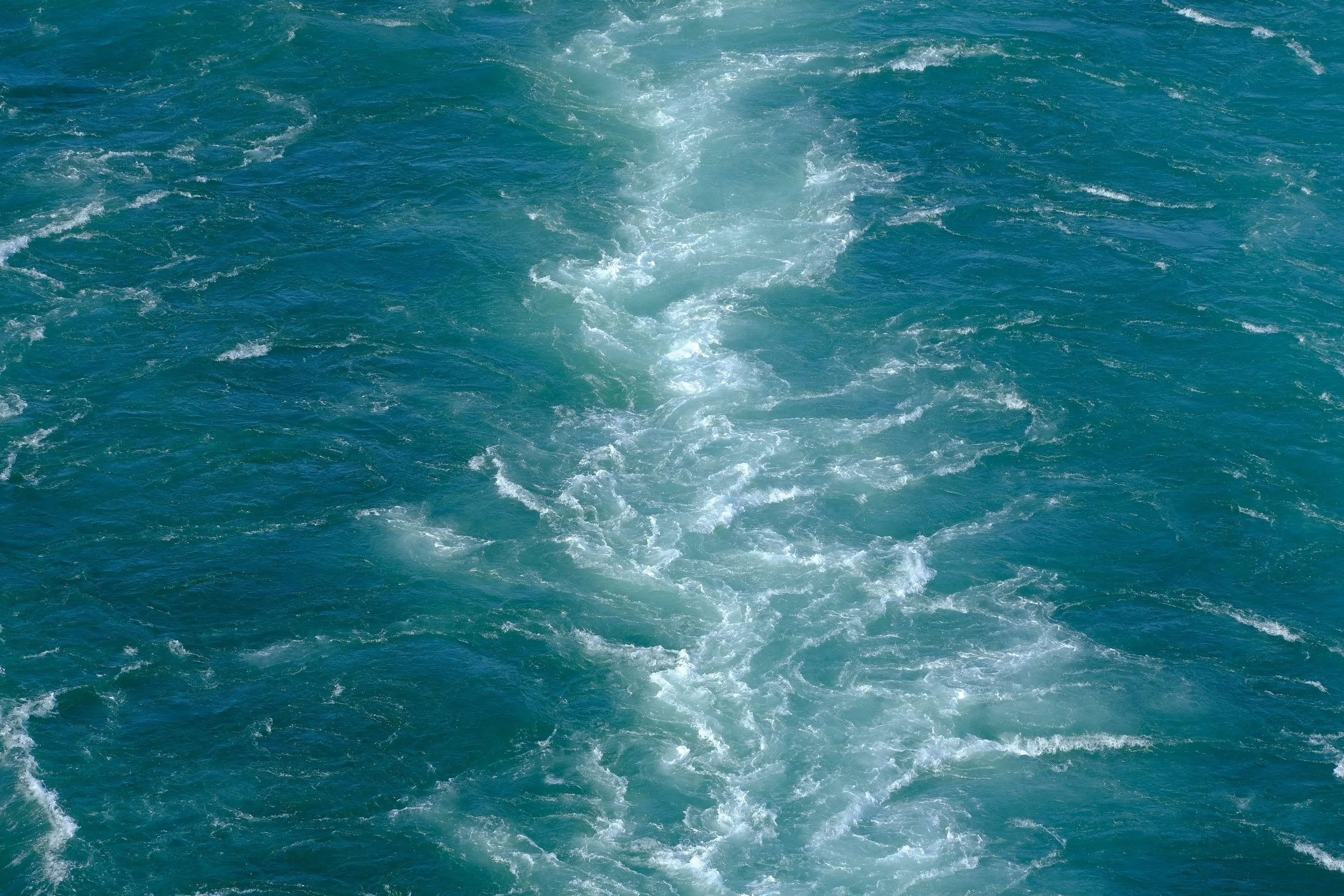 DSCF7573.jpg