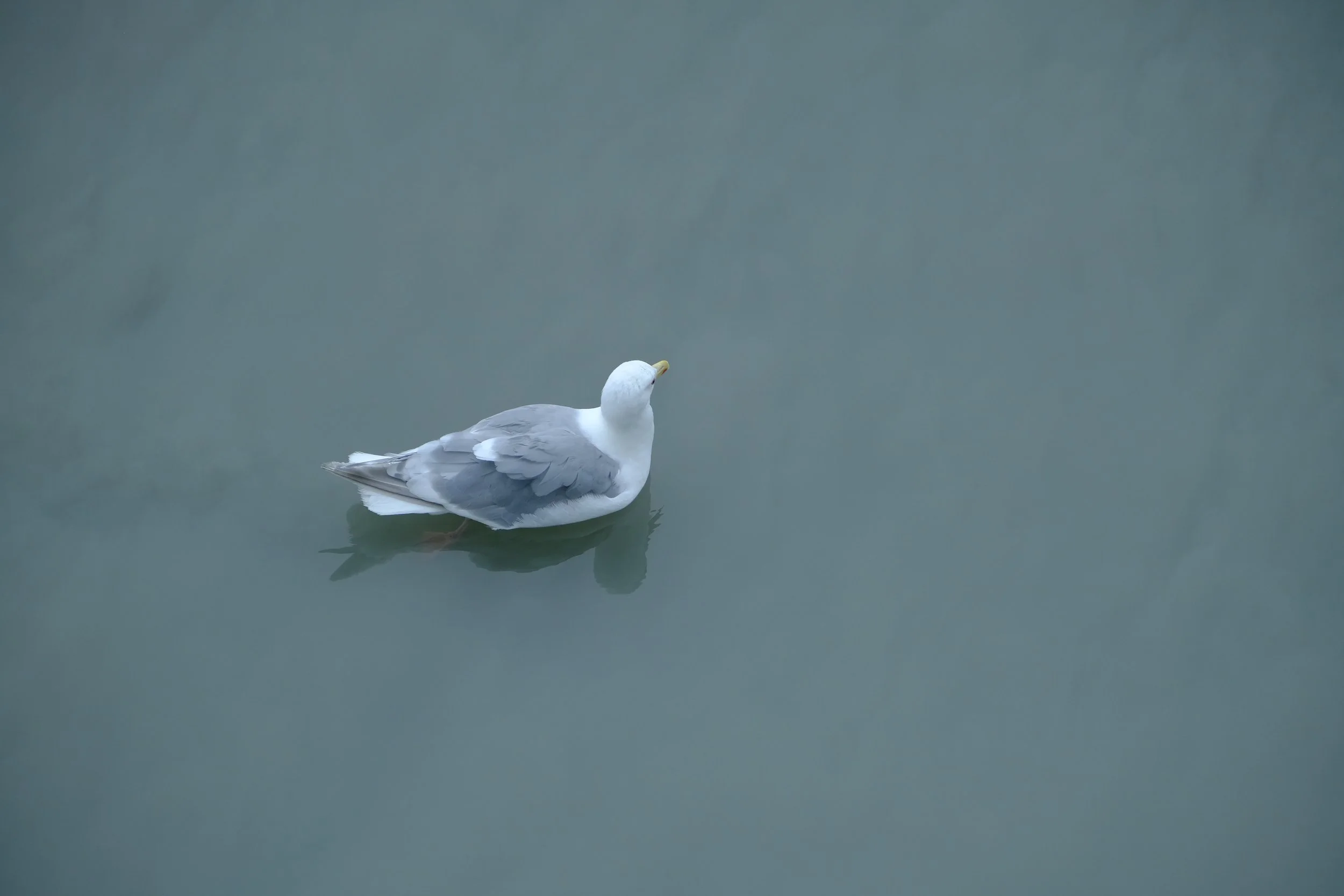 DSCF7609.jpg