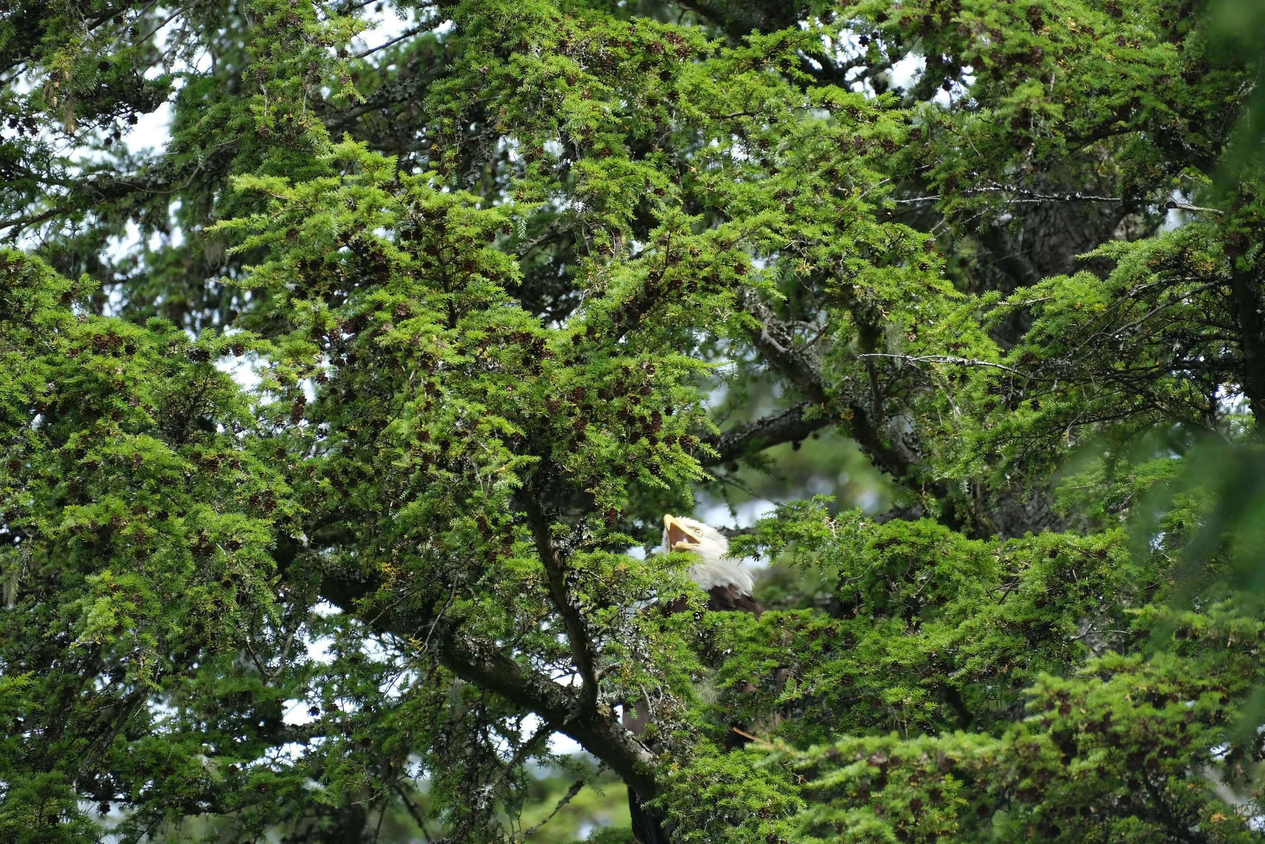 DSCF9234.jpg