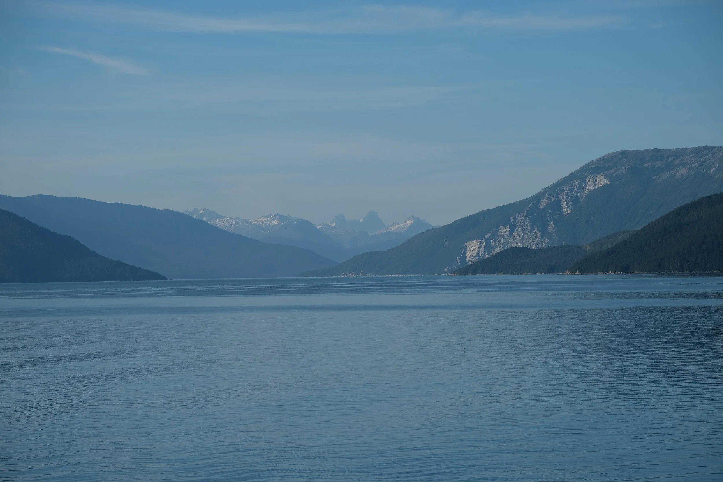 DSCF9144.jpg