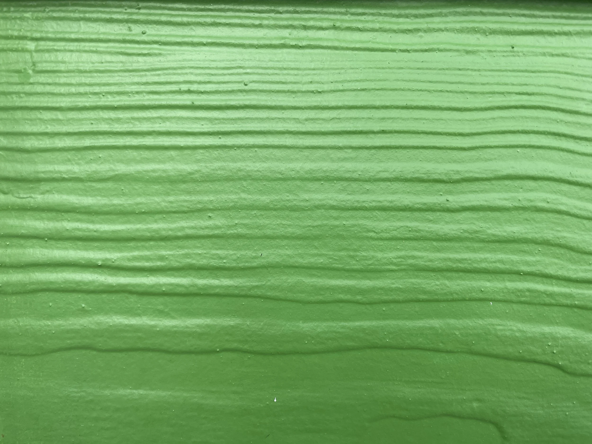 20240626-Bahamas-Green.jpg