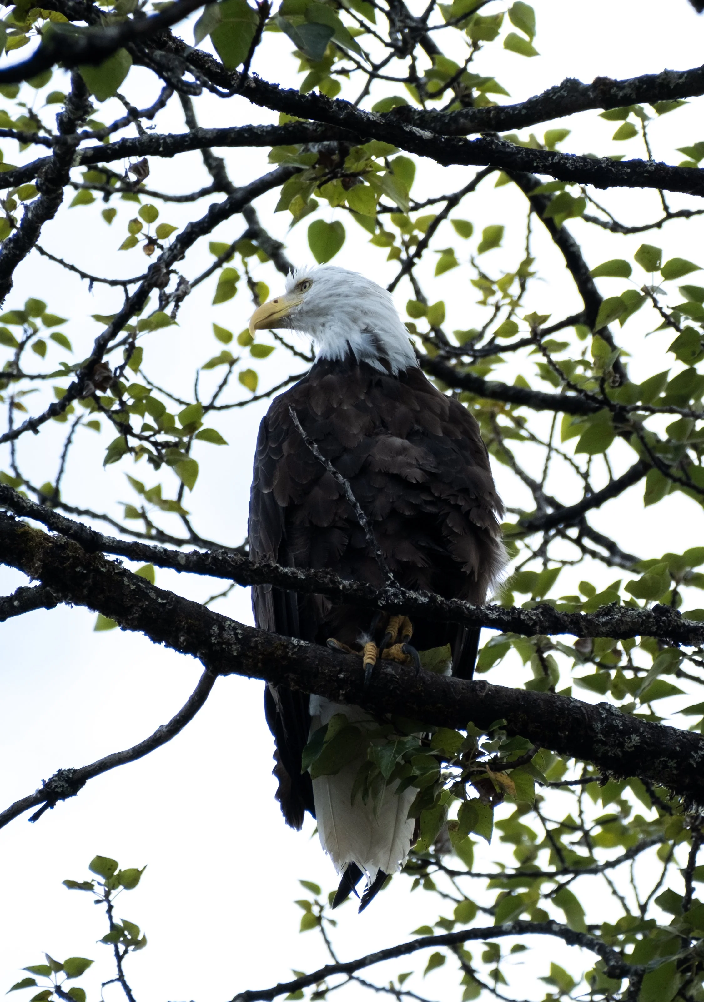 DSCF8630.jpg