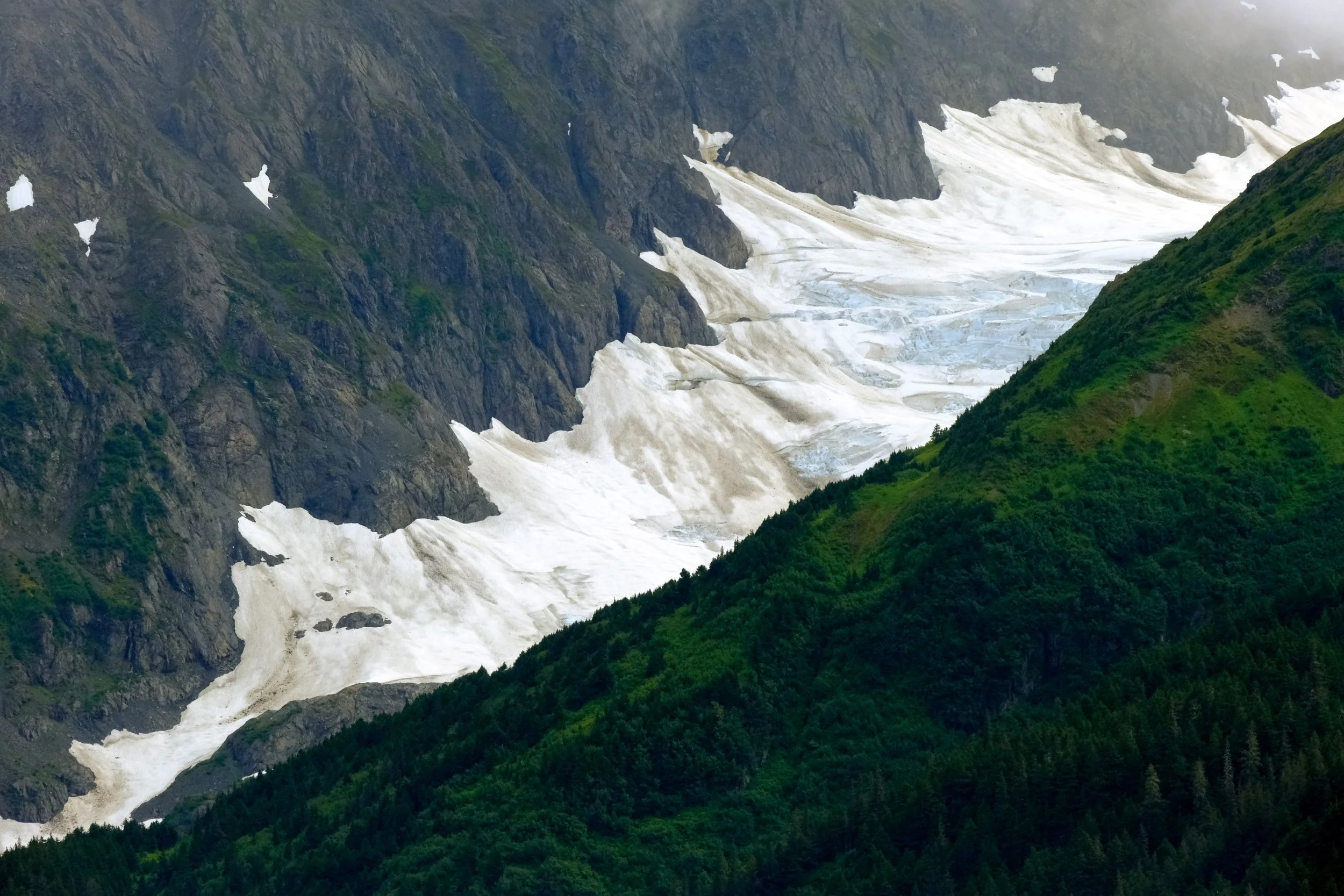 DSCF6789.jpg