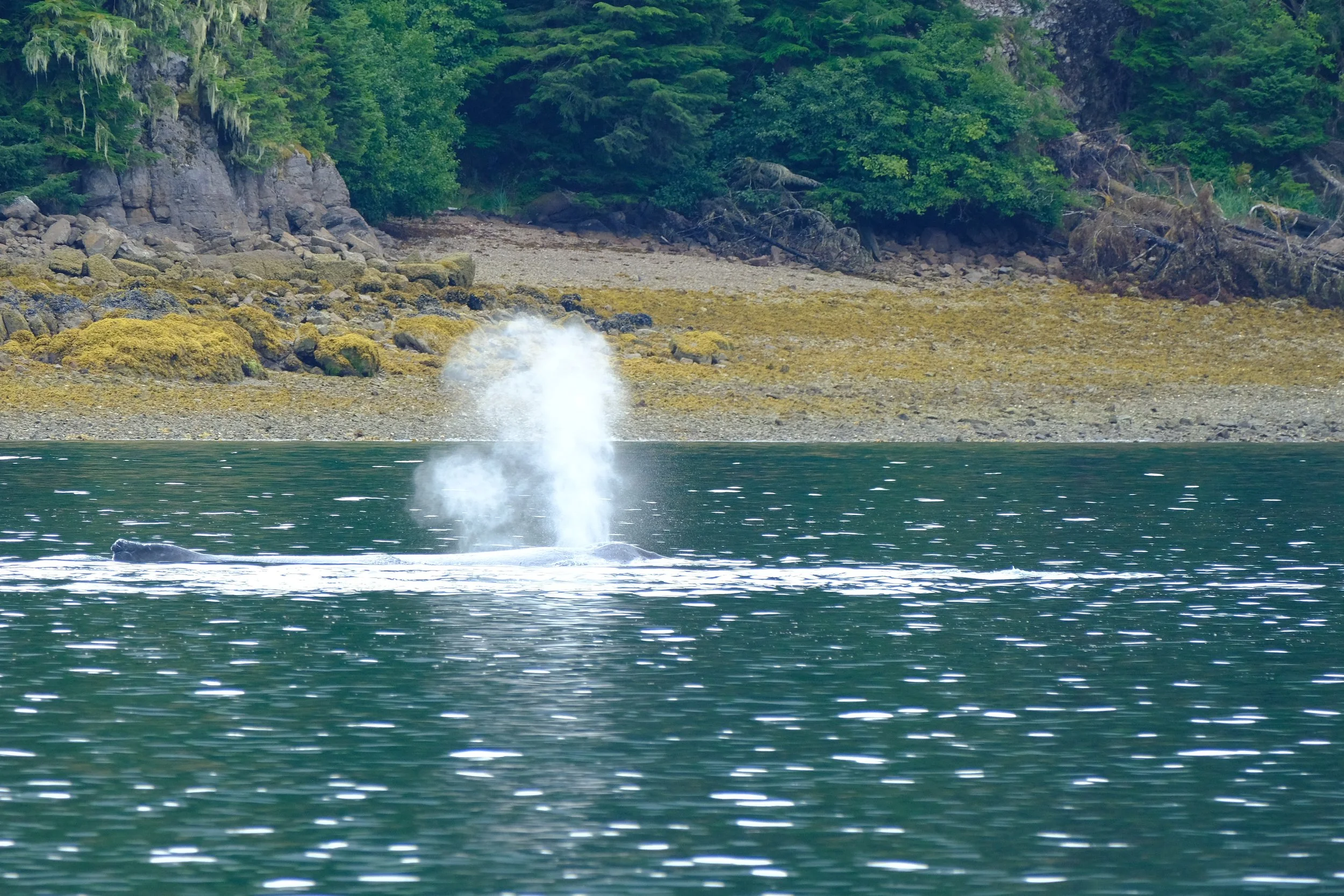 DSCF8320.jpg