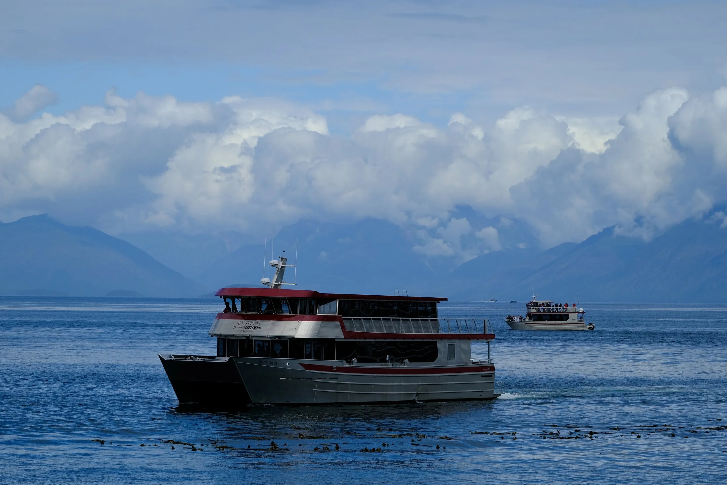 DSCF8689.jpg