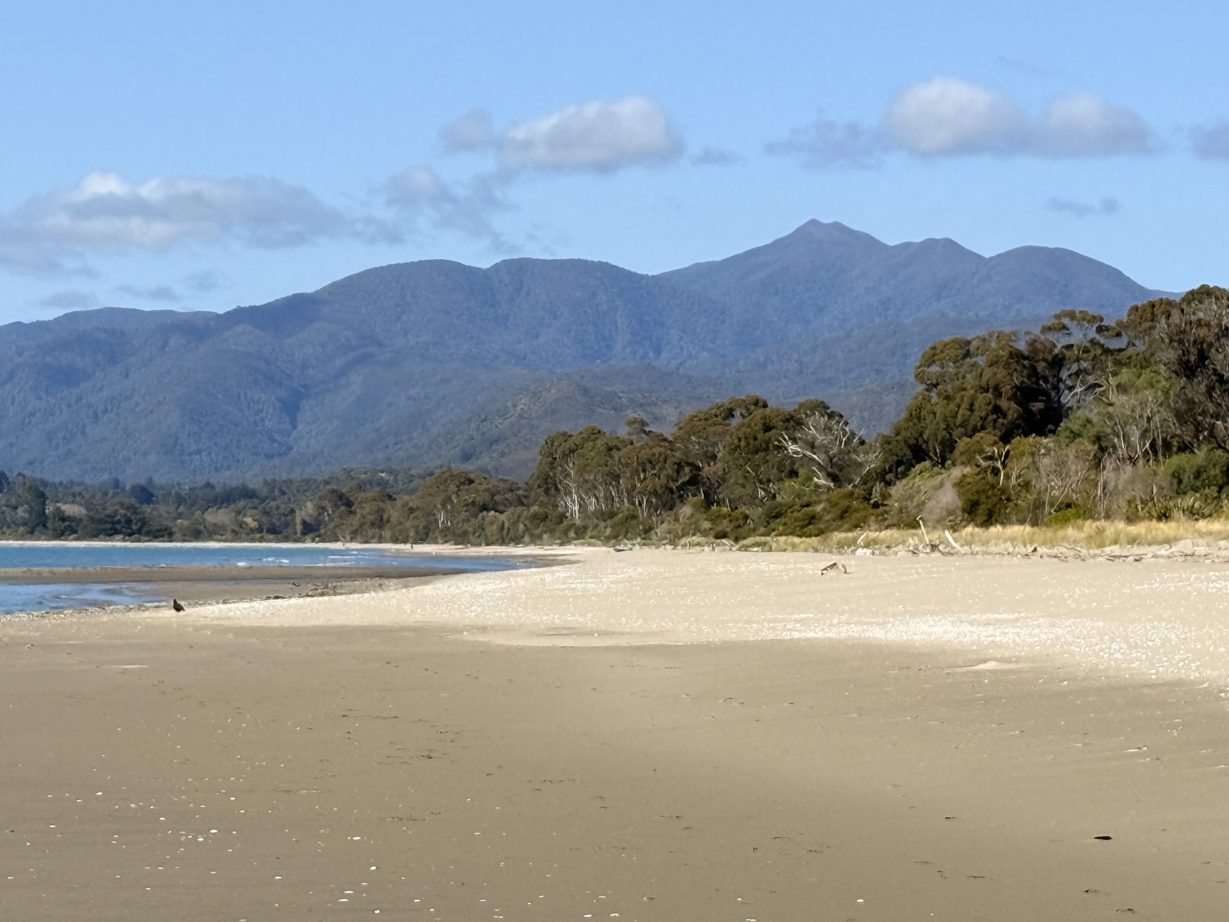 View towards Milnthorpe and Parapara peak