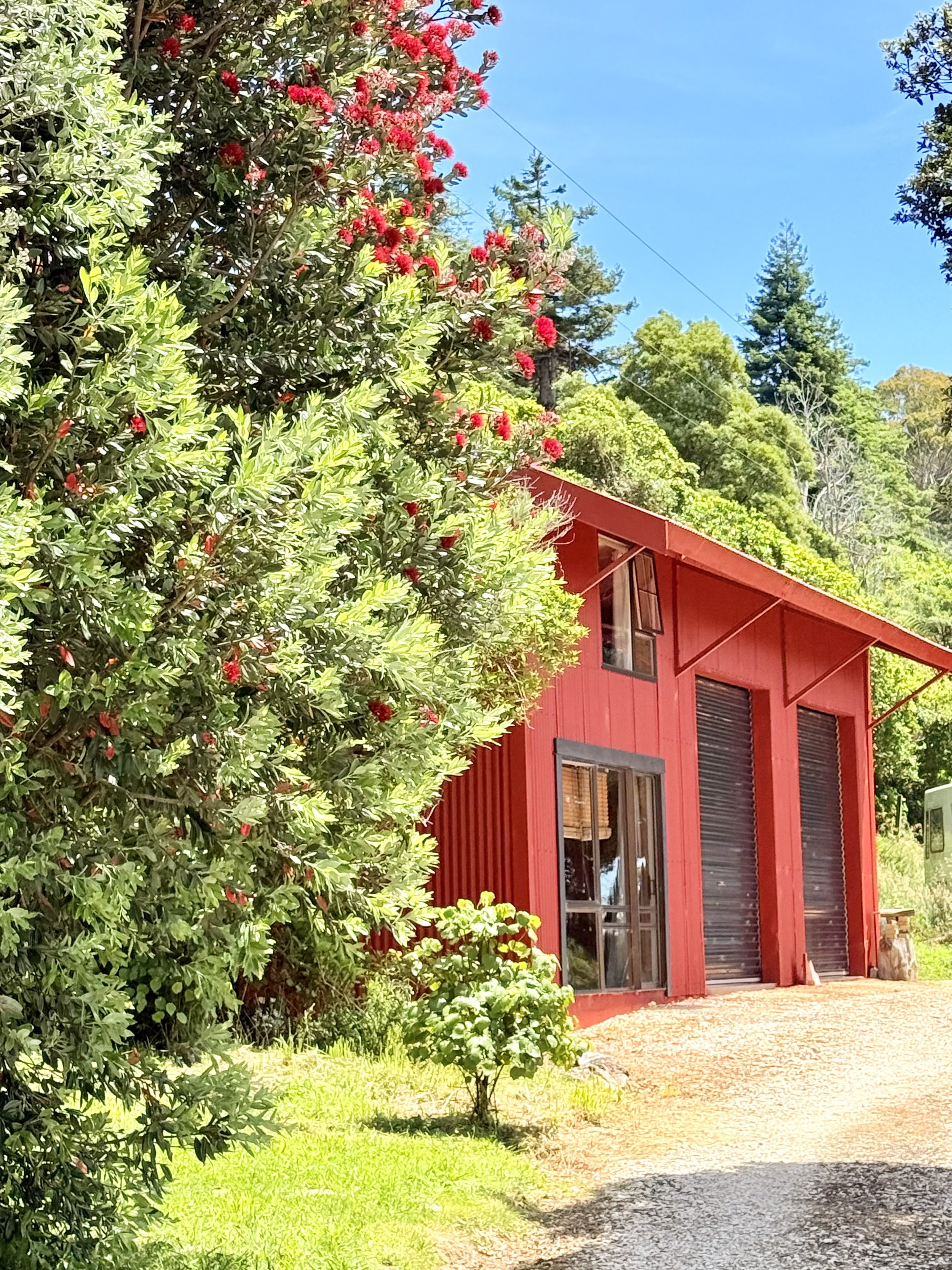 Red barn surrounded by green trees and bushes, with a gravel pathway in front and a clear blue sky overhead.