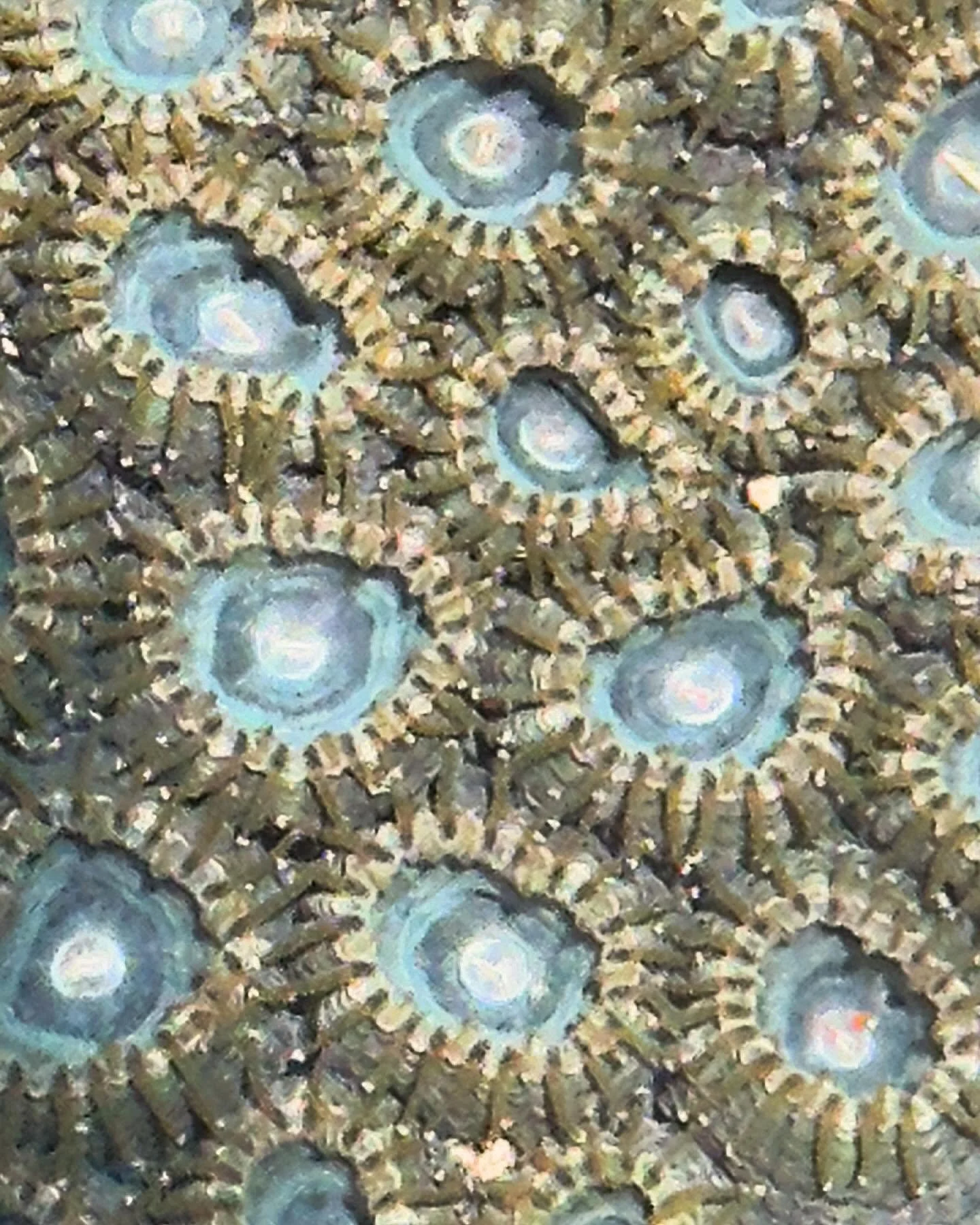Close-up of coral polyps, featuring blue centers and brownish tentacles, resembling a natural marine pattern.